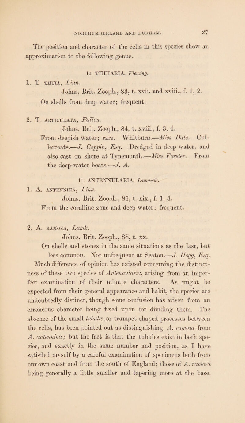 The position and character of the cells in this species show an approximation to the following genus. 10. THUlAKXA, Fleming. 1. T. thuia, Linn. Johns. Brit. Zooph., 83, t. xvii. and xviii., f. 1, 2. On shells from deep water; frequent. 2, T. articulata, Pcdlas. Johns. Brit. Zooph., 84, t. xviii., f. 3, 4, From deepish water; rare. Width urn .-—Miss Dale. Cul- lercoats.—J. Coppiri, Esq. Dredged in deep water, and also cast on shore at Tynemouth .—Miss Forster* From the deep-water boats.—*/. A. 11. ANTENNULAEIA, Lamarck 1. A. antennina, Linn. Johns. Brit. Zooph., 86, t. xix., f. 1, 8, From the coralline zone and deep water; frequent. 2, A. ramosa, Lamk. Johns. Brit. Zooph., 88, t. XX. On shells and stones in the same situations as the last, hut less common. Not unfrequent at Seaton.—./, Hogg, Esq,, Much difference of opinion has existed concerning the distinct* ness of these two species of Antennularia, arising from an imper¬ fect examination of their minute characters. As might he expected from their general appearance and habit, the species are undoubtedly distinct, though some confusion has arisen from an erroneous character being fixed upon for dividing them. The absence of the small tubulce, or trumpet-shaped processes between the cells, has been pointed out as distinguishing A. ramosa from A. antennina; but the fact is that the tubules exist in both spe¬ cies, and exactly in the same number and position, as I have satisfied myself by a careful examination of specimens both from our own coast and from the south of England; those of A. ramosa, being generally a little smaller and tapering more at the base,