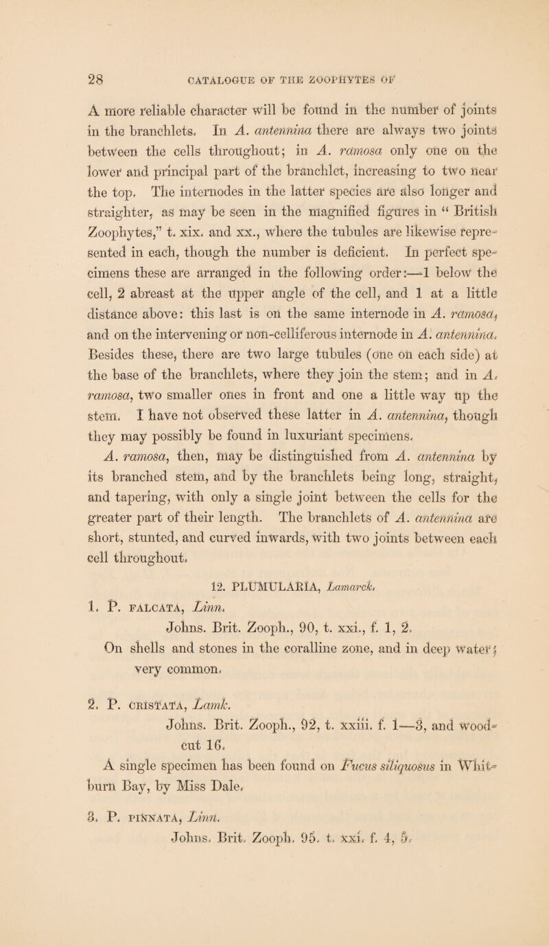 A more reliable character will he found in the number of joints in the branch lets, In A. antennina there are always two joints between the cells throughout; in A. rcimosa only one on the lower and principal part of the branchlet, increasing to two near the top. The internodes in the latter Species are also longer and straighten, as may be seen in the magnified figures in “ British Zoophytes,” t, xix. and xx., where the tubules are likewise repre¬ sented in each, though the number is deficient. In perfect spe¬ cimens these are arranged in the following order:—-1 below the cell, 2 abreast at the upper angle of the cell, and 1 at a little distance above: this last is on the same internode in A. rcimosat and on the intervening or non-celliferous intemode in A. antennindi Besides these, there are two large tubules (one on each side) at the base of the branchlets, where they join the stem; and in A, rcimosa, two smaller ones in front and one a little way Up the stein. 1 have not observed these latter in A. antennina, though they may possibly be found in luxuriant specimens, A. ramosa, then, may he distinguished from A. antennina by its branched stem, and by the branchlets being long, straight, and tapering, with only a single joint between the cells for the greater part of their length. The branchlets of A. antennina are short, stunted, and curved inwards, with two joints between each cell throughout, 12. PLUMULARIA, Lamarck< 1. P. FALCATA, Linn, Johns. Brit. Zooph., 90, t. xxi., f. 1, 2, On shells and stones in the coralline zone, and in deep Water | very common. 2. P. cbTstatA, Lamic. Johns. Brit. Zooph., 92, t. xxiii. f. 1—8, and Wood^ cut 16, A single specimen has been found on Fncus siUquosus in Whit* burn Bay, by Miss Dale, 8, P. piUxatA, Linn. Johns, Brit, Zooph. 95. t. xxi, f. 4, 5,