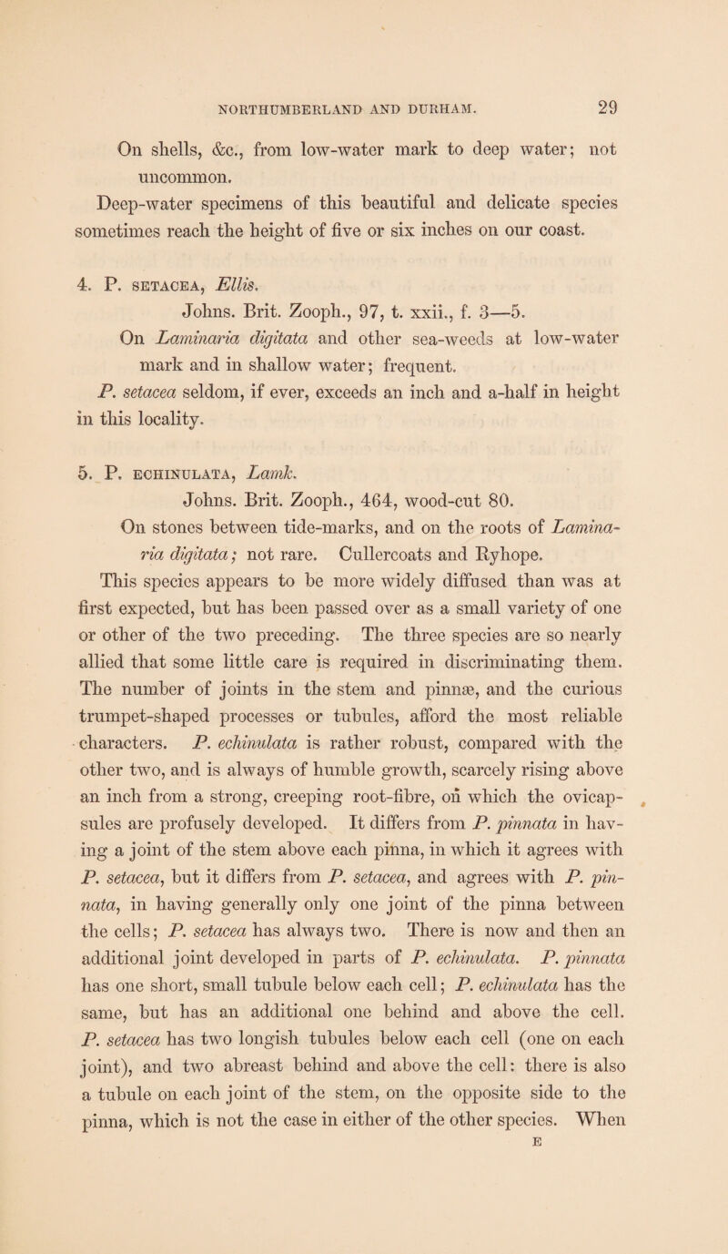 On shells, &c., from low-water mark to deep water; not uncommon. Deep-water specimens of this beautiful and delicate species sometimes reach the height of five or six inches on our coast. 4. P. setacea, Ellis. Johns. Brit. Zooph., 97, t. xxii., f. 3—5. On Laminaria cligitata and other sea-weeds at low-water mark and in shallow water; frequent. P. setacea seldom, if ever, exceeds an inch and a-half in height in this locality. 5. P, echinulata, Lamk. Johns. Brit. Zooph., 464, wood-cut 80. On stones between tide-marks, and on the roots of Lamina¬ ria digitata; not rare. Cullereoats and Byhope. This species appears to be more widely diffused than was at first expected, but has been passed over as a small variety of one or other of the two preceding. The three species are so nearly allied that some little care is required in discriminating them. The number of joints in the stem and pinnge, and the curious trumpet-shaped processes or tubules, afford the most reliable characters. P. echinulata is rather robust, compared with the other two, and is always of humble growth, scarcely rising above an inch from a strong, creeping root-fibre, on which the ovicap- sules are profusely developed. It differs from P. pinnata in hav¬ ing a joint of the stem above each pinna, in which it agrees with P. setacea, but it differs from P. setacea, and agrees with P. pin- nata, in having generally only one joint of the pinna between the cells; P. setacea has always two. There is now and then an additional joint developed in parts of P. echinulata. P. pinnata has one short, small tubule below each cell; P. echinulata has the same, but has an additional one behind and above the cell. P. setacea has two longish tubules below each cell (one on each joint), and two abreast behind and above the cell: there is also a tubule on each joint of the stem, on the opposite side to the pinna, which is not the case in either of the other species. When E