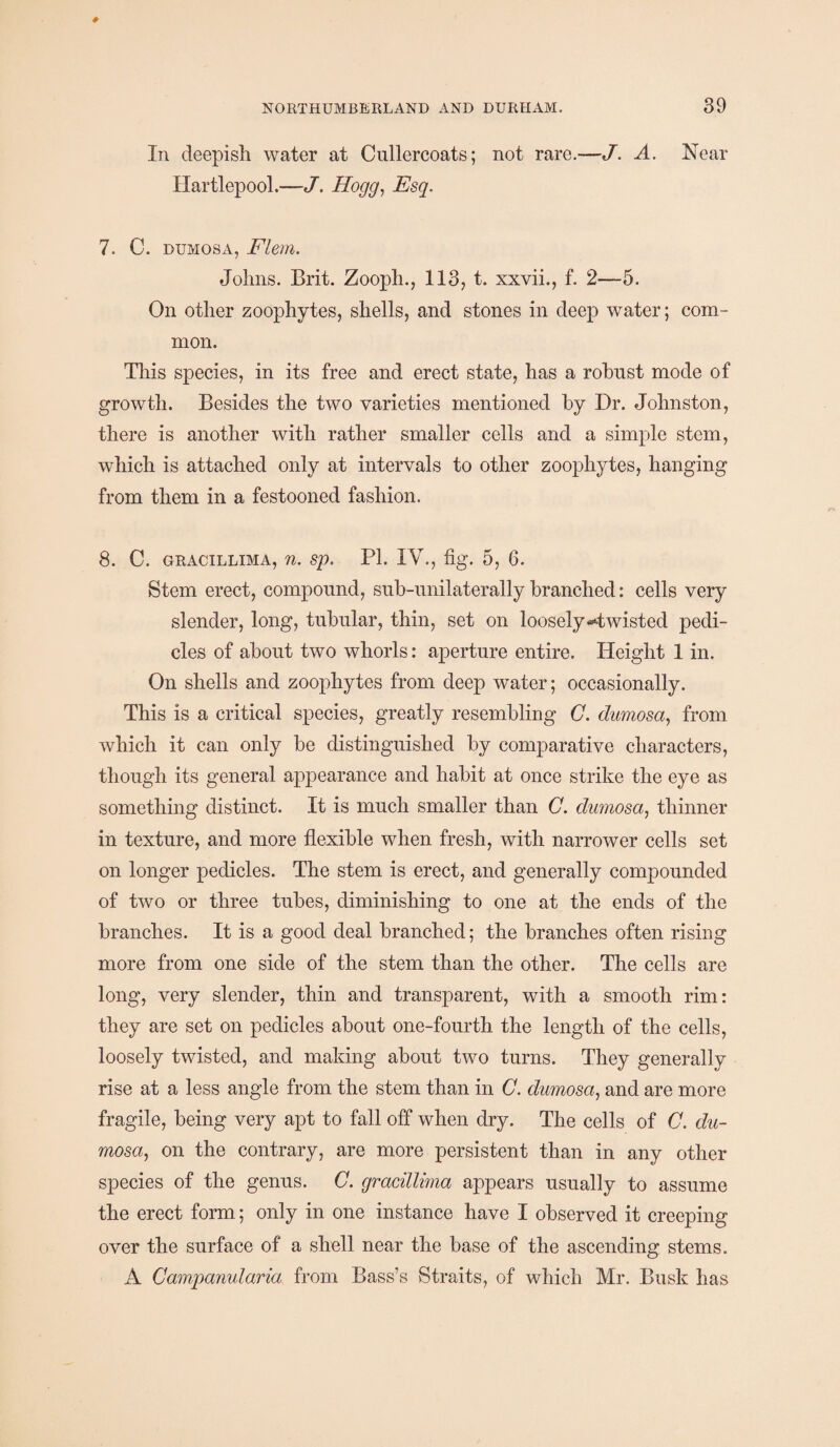 In deepish water at Cullercoats; not rare.—J. A. Near Hartlepool.—J. Hogg, Esq. 7. C. dumosa, Flern. Johns. Brit. Zooph., 113, t. xxvii., f. 2—5. On other zoophytes, shells, and stones in deep water; com¬ mon. This species, in its free and erect state, has a robust mode of growth. Besides the two varieties mentioned by Dr. Johnston, there is another with rather smaller cells and a simple stem, which is attached only at intervals to other zoophytes, hanging from them in a festooned fashion. 8. C. GRACILLIMA, 71. Sp. PI. IV., fig. 5, 6. Stem erect, compound, sub-unilaterally branched: cells very slender, long, tubular, thin, set on loosely ^twisted pedi¬ cles of about two whorls: aperture entire. Height 1 in. On shells and zoophytes from deep water; occasionally. This is a critical species, greatly resembling C. dumosa, from which it can only be distinguished by comparative characters, though its general appearance and habit at once strike the eye as something distinct. It is much smaller than C. dumosa, thinner in texture, and more flexible when fresh, with narrower cells set on longer pedicles. The stem is erect, and generally compounded of two or three tubes, diminishing to one at the ends of the branches. It is a good deal branched; the branches often rising more from one side of the stem than the other. The cells are long, very slender, thin and transparent, with a smooth rim: they are set on pedicles about one-fourth the length of the cells, loosely twisted, and making about two turns. They generally rise at a less angle from the stem than in C. dumosa, and are more fragile, being very apt to fall off when dry. The cells of C. du¬ mosa, on the contrary, are more persistent than in any other species of the genus. C. gracillima appears usually to assume the erect form; only in one instance have I observed it creeping over the surface of a shell near the base of the ascending stems. A Campanularia from Bass’s Straits, of which Mr. Busk has