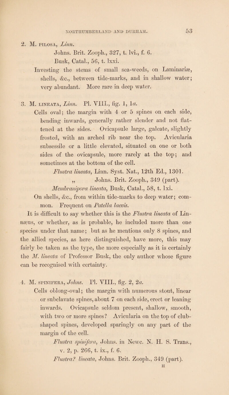 2. M. pilosa, Linn. Johns. Brit. Zooph., 327, t. lvi., f. 6. Busk, Catal., 5G, t. lxxi. Investing the stems of small sea-weeds, on Laminarias, shells, &c., between tide-marks, and in shallow water; very abundant. More rare in deep water. 3. M. lineata, Linn. PI. VIIL, fig. 1, la. Cells oval; the margin with 4 or 5 spines on each side, bending inwards, generally rather slender and not flat¬ tened at the sides. Ovicapsule large, galeate, slightly frosted, with an arched rib near the top. Avicularia subsessile or a little elevated, situated on one or both sides of the ovicapsule, more rarely at the top; and sometimes at the bottom of the cell. Flustra lineata, Linn. Syst. Nat., 12th Ed., 1301. „ Johns. Brit. Zooph., 349 (part). Membranipora lineata, Busk, Catal., 58, t. lxi. On shells, &c., from within tide-marks to deep water; com¬ mon. Frequent on Patella laevis. It is difficult to say whether this is the Flustra lineata of Lin- H92US, or whether, as is probable, he included more than one species under that name; but as he mentions only 8 spines, and the allied species, as here distinguished, have more, this may fairly be taken as the type, the more especially as it is certainly the M. lineata of Professor Busk, the only author whose figure can be recognised with certainty. 4. M. spinifera, Johns. PI. VIIL, fig. 2, 2a. Cells oblong-oval; the margin with numerous stout, linear or subclavate spines, about 7 on each side, erect or leaning inwards. Ovicapsule seldom present, shallow, smooth, with two or more spines ? Avicularia on the top of club- shaped spines, developed sparingly on any part of the margin of the cell. Flustra spinifera, Johns, in Ncwc. N. II. S. Trans., v. 2, p. 2G6, t. ix., f. 6. Flustra? lineata, Johns. Brit. Zooph., 349 (part). H