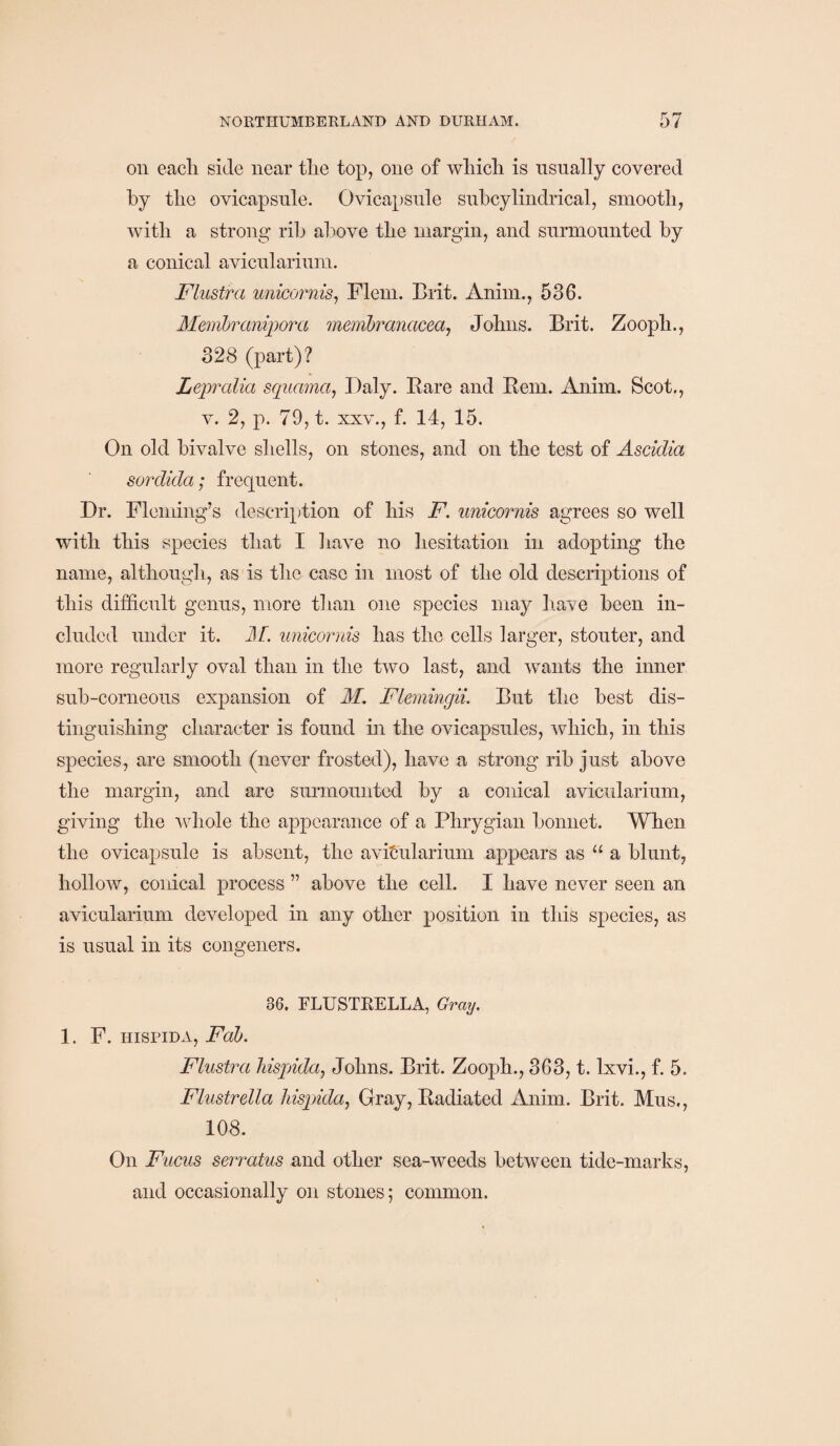 on eacli side near the top, one of which is usually covered by the ovicapsule. Ovicapsule subcylindrical, smooth, with a strong rib above the margin, and surmounted by a conical avicularium. Flustra unicornis, Flem. Brit. Anim., 536. Membranipora membranacea, Johns. Brit. Zooph., 328 (part)? Lepralia squama, Daly. Bare and Bern. Anim. Scot., v. 2, p. 79, t. xxv., f. 14, 15. On old bivalve shells, on stones, and on the test of Ascidia sordida; frequent. Dr. Fleming’s description of his F. unicornis agrees so well with this species that I have no hesitation in adopting the name, although, as is the case in most of the old descriptions of this difficult genus, more than one species may have been in¬ cluded under it. M. unicornis has the cells larger, stouter, and more regularly oval than in the two last, and wants the inner sub-corneous expansion of M. Flemingii. But the best dis¬ tinguishing character is found in the ovicapsules, which, in this species, are smooth (never frosted), have a strong rib just above the margin, and are surmounted by a conical avicularium, giving the whole the appearance of a Phrygian bonnet. When the ovicapsule is absent, the avicularium appears as “ a blunt, hollow, conical process ” above the cell. I have never seen an avicularium developed in any other position in this species, as is usual in its congeners. 36. FLUSTRELLA, Gray. 1. F. hispidA, Fab. Flustra hispnda, Johns. Brit. Zooph., 363, t. Ixvi., f. 5. Flustrella hispnda, Gray, Badiated Anim. Brit. Mus., 108. On Fucus serratus and other sea-weeds between tide-marks, and occasionally on stones; common.