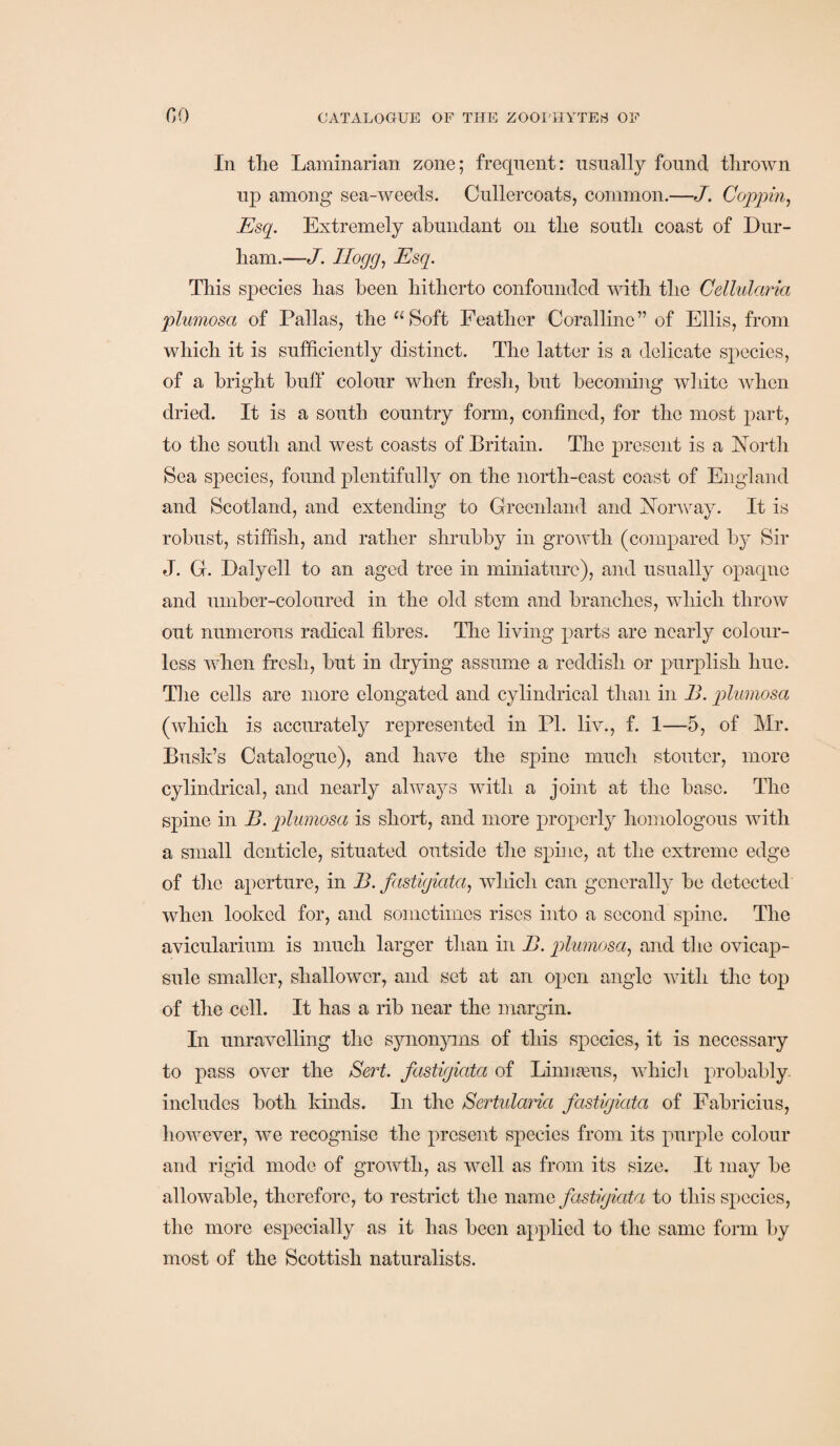 In the Laminarian zone; frequent: usually found thrown up among sea-weeds. Cullercoats, common.—J. Coppin, Esq. Extremely abundant on the south coast of Dur¬ ham.—J. Ilogg, Esq. This species has been hitherto confounded with the Cellularia plumosa of Pallas, the “Soft Feather Coralline” of Ellis, from which it is sufficiently distinct. The latter is a delicate species, of a bright huff colour when fresh, hut becoming white when dried. It is a south country form, confined, for the most part, to the south and west coasts of Britain. The present is a North Sea species, found plentifully on the north-east coast of England and Scotland, and extending to Greenland and Norway. It is robust, stiffish, and rather shrubby in growth (compared by Sir J. G. Daly ell to an aged tree in miniature), and usually opaque and umber-coloured in the old stem and branches, which throw out numerous radical fibres. The living parts are nearly colour¬ less when fresh, but in drying assume a reddish or purplish hue. The cells are more elongated and cylindrical than in B. plumosa (which is accurately represented in PI. liv., f. 1—5, of Mr. Busk’s Catalogue), and have the spine much stouter, more cylindrical, and nearly always with a joint at the base. The spine in B. plumosa is short, and more properly homologous with a small denticle, situated outside the spine, at the extreme edge of the aperture, in B. fastigiata, which can generally be detected when looked for, and sometimes rises into a second spine. The avicularium is much larger than in B. plumosa, and the ovicap- sule smaller, shallower, and set at an open angle with the top of the cell. It has a rib near the margin. In unravelling the synonyms of this species, it is necessary to pass over the Serf, fastigiata of Linnams, which probably, includes both kinds. In the Sertularia fastigiata of Fabricius, however, we recognise the present species from its purple colour and rigid mode of growth, as well as from its size. It may be allowable, therefore, to restrict the name fastigiata to this species, the more especially as it has been applied to the same form by most of the Scottish naturalists.