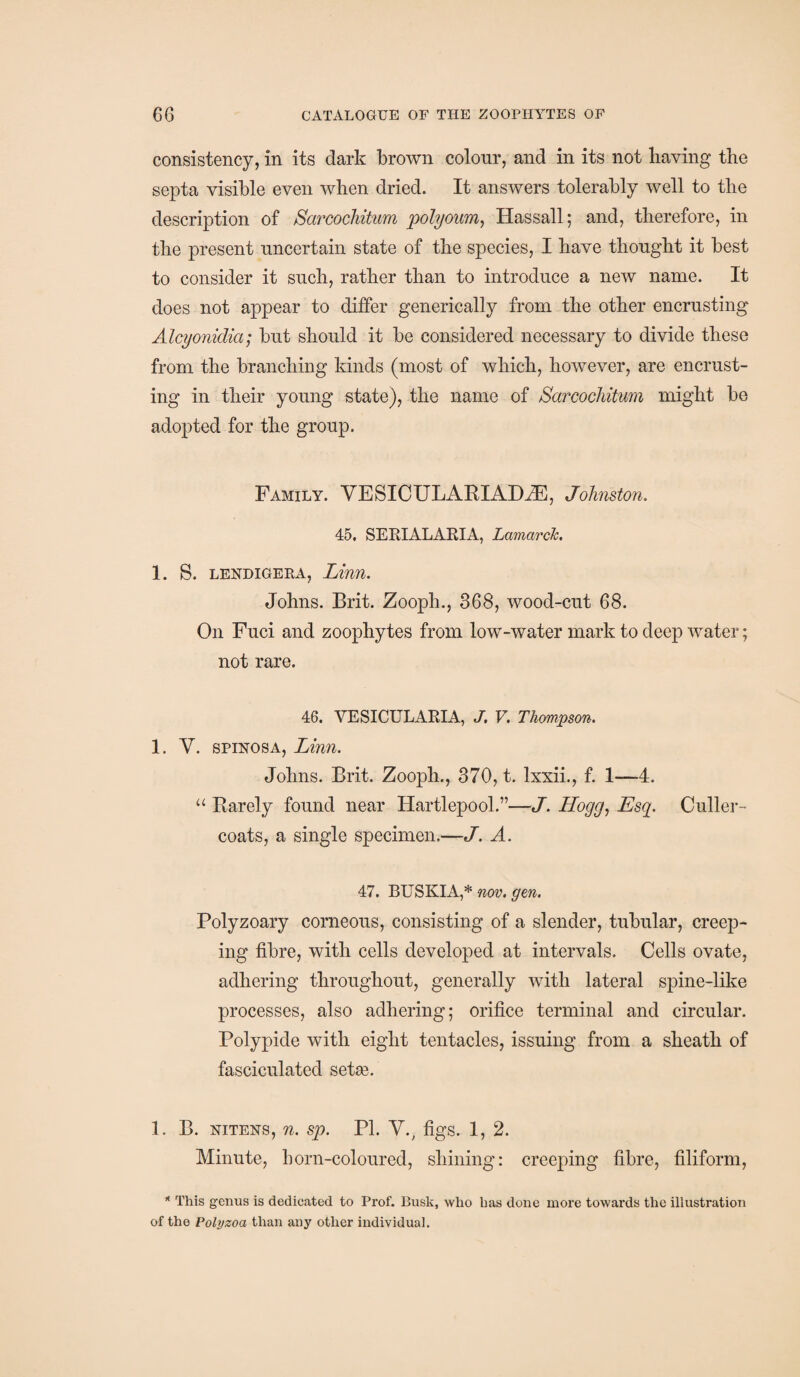 consistency, in its dark brown colour, and in its not having the septa visible even when dried. It answers tolerably well to the description of Sarcocliitum poly own, Hassall; and, therefore, in the present uncertain state of the species, I have thought it best to consider it such, rather than to introduce a new name. It does not appear to differ generically from the other encrusting Alcyonidia; but should it be considered necessary to divide these from the branching kinds (most of which, however, are encrust¬ ing in their young state), the name of Sarcocliitum might be adopted for the group. Family. YE SICULABIAILE, Johnston. 45. SERIALARIA, Lamarck. 1. S. lendigera, Linn. Johns. Brit. Zooph., 368, wood-cut 68. On Fuci and zoophytes from low-water mark to deep water; not rare. 46. VE SICULARIA, J. V. Thompson. 1. V. spinosa, Linn. Johns. Brit. Zooph., 370, t. lxxii., f. 1—4. “ Barely found near Hartlepool.”—J. Hogg, Esq. Culler- coats, a single specimen.—J. A. 47. BUSKIA,* nov. gen. Polyzoary corneous, consisting of a slender, tubular, creep¬ ing fibre, with cells developed at intervals. Cells ovate, adhering throughout, generally with lateral spine-like processes, also adhering; orifice terminal and circular. Polypide with eight tentacles, issuing from a sheath of fasciculated seta?. 1. B. nitens, n. sp. PL V., figs. 1, 2. Minute, born-coloured, shining: creeping fibre, filiform, * This genus is dedicated to Prof. Busk, who has done more towards the illustration of the Polyzoa than any other individual.