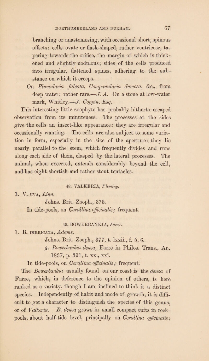 brandling or anastomosing, with occasional short, spinous offsets: cells ovate or flask-shaped, rather ventricose, ta¬ pering towards the orifice, the margin of which is thick¬ ened and slightly nodulous; sides of the cells produced into irregular, flattened spines, adhering to the sub¬ stance on which it creeps. On Plumularia falcota, Companularia dumosa, &c., from deep water; rather rare.—J. A. On a stone at low-water mark, Whitley.—J. Coppin, Esq. This interesting little zoophyte has probably hitherto escaped observation from its minuteness. The processes at the sides give the cells an insect-like appearance: they are irregular and occasionally wanting. The cells are also subject to some varia¬ tion in form, especially in the size of the aperture: they lie nearly parallel to the stem, which frequently divides and runs along each side of them, clasped by the lateral processes. The animal, when excerted, extends considerably beyond the cell, and has eight shortish and rather stout tentacles. 48. VALKERIA, Fleming. 1. V. uva, Linn. Johns. Brit. Zooph., 375. In tide-pools, on Corallina officinalis; frequent. 49. BOWERBANKIA, Far re. 1. B. imbricata, Adams. Johns. Brit. Zooph., 377, t. lxxii., f. 5, 6. /3. BowerbanJda densa, Farre in Philos. Trans., An. 1837, p. 391, t. xx., xxi. In tide-pools, on Corallina officinalis; frequent. The Bowerbankia usually found on onr coast is the densa of Farre, which, in deference to the opinion of others, is here ranked as a variety, though I am inclined to think it a distinct species. Independently of habit and mode of growth, it is diffi¬ cult to get a character to distinguish the species of this genus, or of Valkeria. B. densa grows in small compact tufts in rock- pools, about half-tide level, principally on Corallina officinalis;