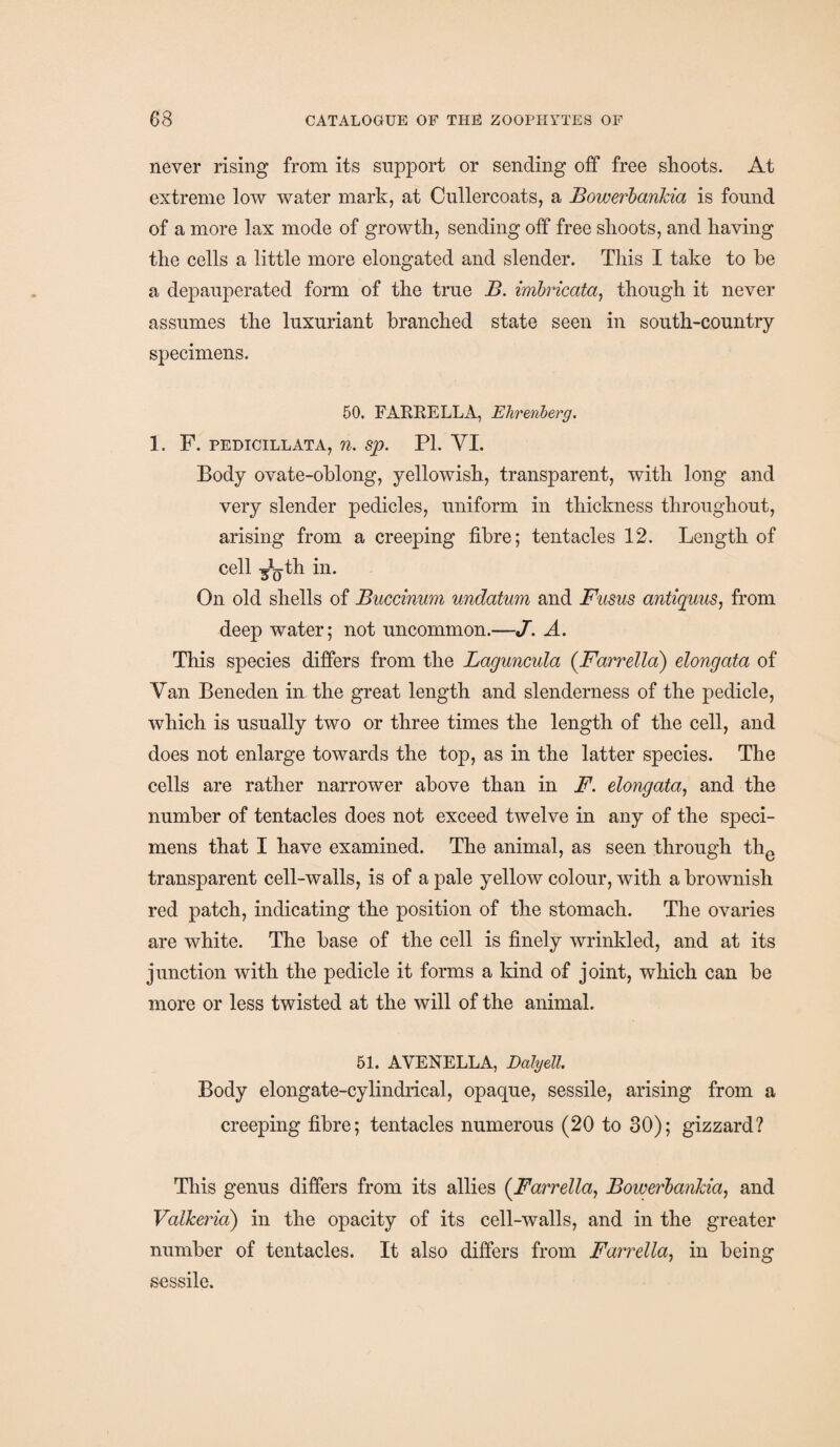 never rising from its support or sending off free shoots. At extreme low water mark, at Cullercoats, a Bowerbankia is found of a more lax mode of growth, sending off free shoots, and having the cells a little more elongated and slender. This I take to he a depauperated form of the true B. imbricata, though it never assumes the luxuriant branched state seen in south-country specimens. 50. FARRELLA, Ehrenberg. 1. F. PEDICILLATA, 71. Sp. PI. VI. Body ovate-oblong, yellowish, transparent, with long and very slender pedicles, uniform in thickness throughout, arising from a creeping fibre; tentacles 12. Length of cell ^yth in. On old shells of Buccinum undatum and Fusus antiquus, from deep water; not uncommon.—J. A. This species differs from the Laguncida {Farrella) elongata of Van Beneden in the great length and slenderness of the pedicle, which is usually two or three times the length of the cell, and does not enlarge towards the top, as in the latter species. The cells are rather narrower above than in F. elongata, and the number of tentacles does not exceed twelve in any of the speci¬ mens that I have examined. The animal, as seen through the transparent cell-walls, is of a pale yellow colour, with a brownish red patch, indicating the position of the stomach. The ovaries are white. The base of the cell is finely wrinkled, and at its junction with the pedicle it forms a kind of joint, which can be more or less twisted at the will of the animal. 51. AYENELLA, Daly ell. Body elongate-cylindrical, opaque, sessile, arising from a creeping fibre; tentacles numerous (20 to 30); gizzard? This genus differs from its allies (jFarrella, Bowerbankia, and Valheria) in the opacity of its cell-walls, and in the greater number of tentacles. It also differs from Farrella, in being sessile.