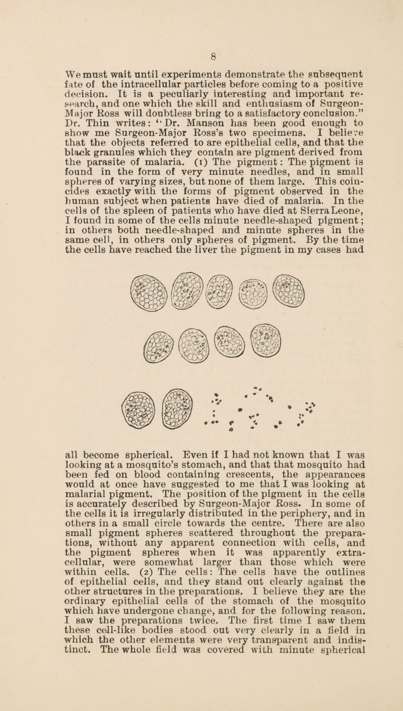 We must wait until experiments demonstrate the subsequent fate of the intracellular particles before coming to a positive decision. It is a peculiarly interesting and important re¬ search, and one which the skill and enthusiasm of Surgeon- Major Ross will doubtless bring to a satisfactory conclusion.” Dr. Thin writes: “Dr. Manson has been good enough to show me Surgeon-Major Ross’s two specimens. I believe that the objects referred to are epithelial cells, and that the black granules which they contain are pigment derived from the parasite of malaria, (i) The pigment: The pigment is found in the form of very minute needles, and in small spheres of varying sizes, but none of them large. This coin¬ cides exactly with the forms of pigment observed in the human subject when patients have died of malaria. In the cells of the spleen of patients who have died at SierraLeone, I found in some of the cells minute needle-shaped pigment; in others both needle-shaped and minute spheres in the same cell, in others only spheres of pigment. By the time the cells have reached the liver the pigment in my cases had all become spherical. Even if I had not known that I was looking at a mosquito’s stomach, and that that mosquito had been fed on blood containing crescents, the appearances would at once have suggested to me that I was looking at malarial pigment. The position of the pigment in the cells is accurately described by Surgeon-Major Ross. In some of the cells it is irregularly distributed in the periphery, and in others in a small circle towards the centre. There are also small pigment spheres scattered throughout the prepara¬ tions, without any apparent connection with cells, and the pigment spheres when it was apparently extra¬ cellular, were somewhat larger than those which were within cells. (2) The cells: The cells have the outlines of epithelial cells, and they stand out clearly against the other structures in the preparations. I believe they are the ordinary epithelial cells of the stomach of the mosquito which have undergone change, and for the following reason. I saw the preparations twice. The first time I saw them these cell-like bodies stood out very clearly in a field in which the other elements were very transparent and indis¬ tinct. The whole field was covered with minute spherical