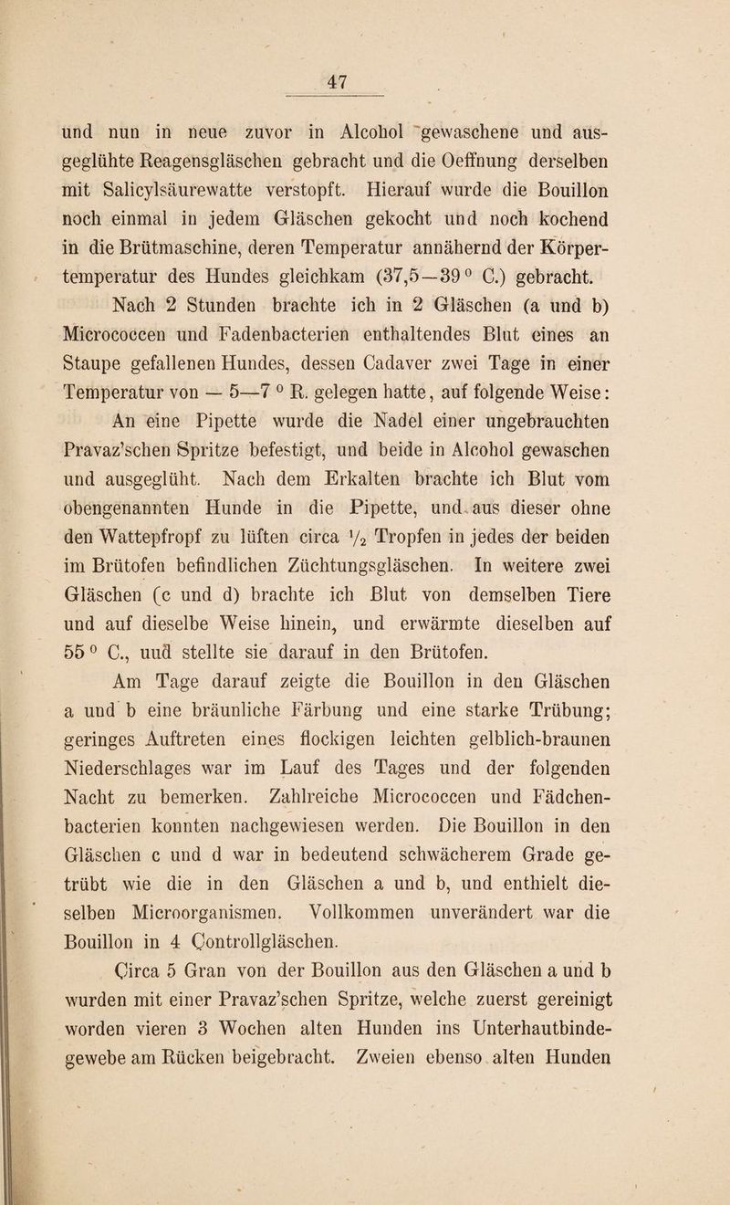 und nun in neue zuvor in Alcohol gewaschene und aus- geglühte Reagensgläschen gebracht und die Oeffnung derselben mit Salicylsäurewatte verstopft. Hierauf wurde die Bouillon noch einmal in jedem Gläschen gekocht und noch kochend in die Brütmaschine, deren Temperatur annähernd der Körper¬ temperatur des Hundes gleichkam (37,5—39° C.) gebracht. Nach 2 Stunden brachte ich in 2 Gläschen (a und b) Micrococcen und Fadenbacterien enthaltendes Blut eines an Staupe gefallenen Hundes, dessen Cadaver zwei Tage in einer Temperatur von — 5—7 0 R. gelegen hatte, auf folgende Weise: An eine Pipette wurde die Nadel einer ungebrauchten Pravaz’schen Spritze befestigt, und beide in Alcohol gewaschen und ausgeglüht. Nach dem Erkalten brachte ich Blut vom obengenannten Hunde in die Pipette, und aus dieser ohne den Wattepfropf zu lüften circa y2 Tropfen in jedes der beiden im Brütofen befindlichen Züchtungsgläschen. In weitere zwei Gläschen (c und d) brachte ich Blut, von demselben Tiere und auf dieselbe Weise hinein, und erwärmte dieselben auf 55° C., und stellte sie darauf in den Brütofen. Am Tage darauf zeigte die Bouillon in den Gläschen a und b eine bräunliche Färbung und eine starke Trübung; geringes Auftreten eines flockigen leichten gelblich-braunen Niederschlages war im Lauf des Tages und der folgenden Nacht zu bemerken. Zahlreiche Micrococcen und Fädchen- bacterien konnten nachgewiesen werden. Die Bouillon in den Gläschen c und d war in bedeutend schwächerem Grade ge¬ trübt wie die in den Gläschen a und b, und enthielt die¬ selben Microorganismen. Vollkommen unverändert war die Bouillon in 4 Oontrollgläschen. Circa 5 Gran von der Bouillon aus den Gläschen a und b wurden mit einer Pravaz’schen Spritze, welche zuerst gereinigt worden vieren 3 Wochen alten Hunden ins Unterhautbinde¬ gewebe am Rücken beigebracht. Zweien ebenso alten Hunden