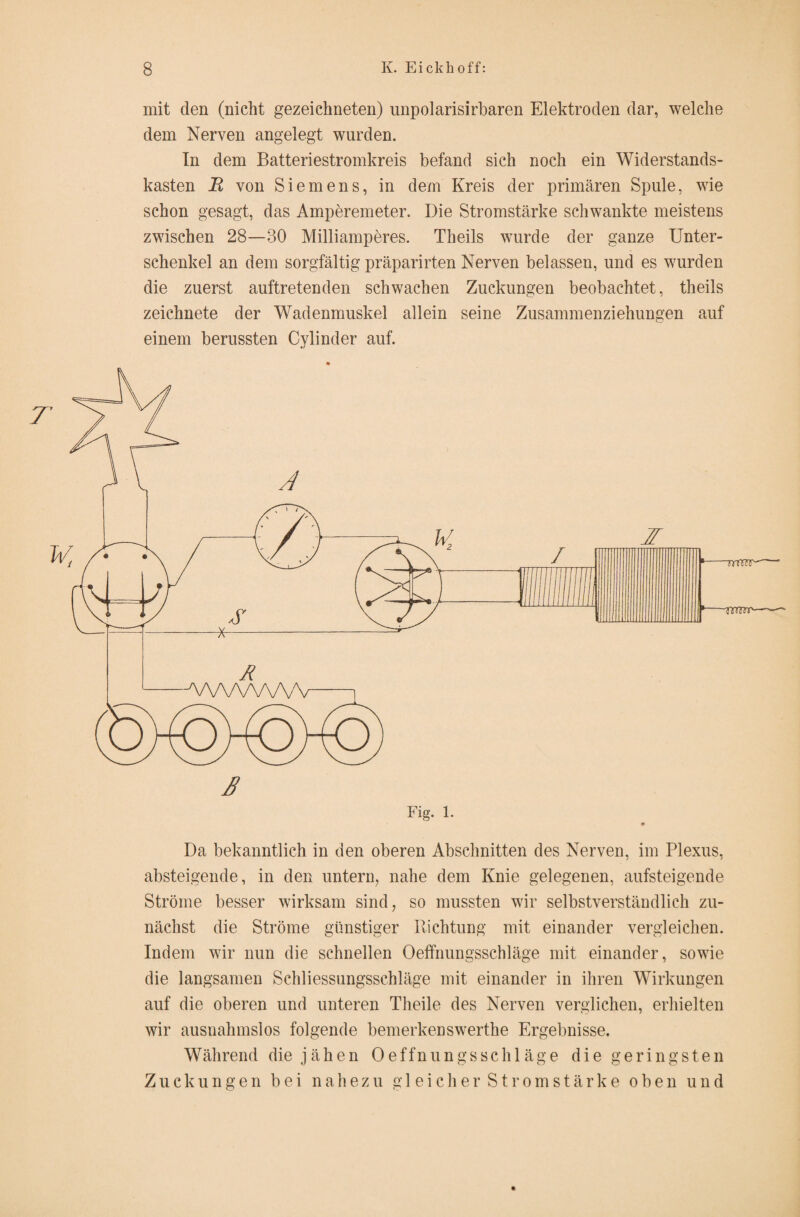 mit den (nicht gezeichneten) unpolarisirbaren Elektroden dar, welche dem Nerven angelegt wurden. In dem Batteriestromkreis befand sich noch ein Widerstands¬ kasten R von Siemens, in dem Kreis der primären Spule, wie schon gesagt, das Amperemeter. Die Stromstärke schwankte meistens zwischen 28—30 Milliamperes. Theils wurde der ganze Unter¬ schenkel an dem sorgfältig präparirten Nerven belassen, und es wurden die zuerst auftretenden schwachen Zuckungen beobachtet, theils zeichnete der Wadenmuskel allein seine Zusammenziehungen auf einem berussten Cylinder auf. Da bekanntlich in den oberen Abschnitten des Nerven, im Plexus, absteigende, in den untern, nahe dem Knie gelegenen, aufsteigende Ströme besser wirksam sind, so mussten wir selbstverständlich zu¬ nächst die Ströme günstiger Richtung mit einander vergleichen. Indem wir nun die schnellen Oeffnungsschläge mit einander, sowie die langsamen Schliessungsschläge mit einander in ihren Wirkungen auf die oberen und unteren Theile des Nerven verglichen, erhielten wir ausnahmslos folgende bemerkenswerthe Ergebnisse. Während die jähen Oeffnungsschläge die geringsten Zuckungen bei nahezu gleicherStromstärke oben und