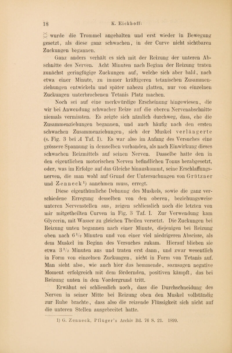 wurde die Trommel angehalten und erst wieder in Bewegung gesetzt, als diese ganz schwachen, in der Curve nicht sichtbaren Zuckungen begannen. Ganz anders verhält es sich mit der Reizung der unteren Ab¬ schnitte des Nerven. Acht Minuten nach Beginn der Reizung traten zunächst geringfügige Zuckungen auf, welche sich aber bald, nach etwa einer Minute, zu immer kräftigeren tetanischen Zusammen¬ ziehungen entwickeln und später nahezu glatten, nur von einzelnen Zuckungen unterbrochenen Tetanis Platz machen. Noch sei auf eine merkwürdige Erscheinung hingewiesen, die wir bei Anwendung schwacher Reize auf die oberen Nervenabschnitte niemals vermissten. Es zeigte sich nämlich durchweg, dass, ehe die Zusammenziehungen begannen, und auch häufig nach den ersten schwachen Zusammenziehungen, sich der Muskel verlängerte (s. Fig. 3 bei A Taf. I). Es war also im Anfang des Versuches eine grössere Spannung in demselben vorhanden, als nach Einwirkung dieses schwachen Reizmittels auf seinen Nerven. Dasselbe hatte den in den eigentlichen motorischen Nerven befindlichen Tonus herabgesetzt, oder, was im Erfolge auf das Gleiche hinauskommt, seine Erschlaffungs¬ nerven, die man wohl auf Grund der Untersuchungen von Grützner und Zenneck1) annehmen muss, erregt. Diese eigenthümliche Dehnung des Muskels, sowie die ganz ver¬ schiedene Erregung desselben von den oberen, beziehungsweise unteren Nervenstellen aus, zeigen schliesslich noch die letzten von mir mitgetheilten Curven in Fig. 3 Taf. I. Zur Verwendung kam Glycerin, mit Wasser zu gleichen Theilen versetzt. Die Zuckungen bei Reizung unten begannen nach einer Minute, diejenigen bei Reizung oben nach 6V2 Minuten und von einer viel niedrigeren Abscisse, als dem Muskel im Beginn des Versuches zukam. Hierauf blieben sie etwa 3V2 Minuten aus und traten erst dann, und zwar wesentlich in Form von einzelnen Zuckungen, nicht in Form von Tetanis auf. Man sieht also, wie auch hier das hemmende, sozusagen negative Moment erfolgreich mit dem fördernden, positiven kämpft, das bei Reizung unten in den Vordergrund tritt. Erwähnt sei schliesslich noch, dass die Durchschneidung des Nerven in seiner Mitte bei Reizung oben den Muskel vollständig zur Ruhe brachte, dass also die reizende Flüssigkeit sich nicht auf die unteren Stellen ausgebreitet hatte. 1) G. Zen neck, Pflüge r’s Archiv Bd. 76 S. 21. 1899.