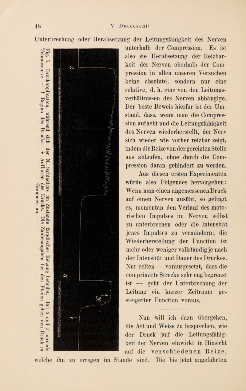 Unterbrechung CD -CTQ Ot co O ^ ö < <-2 ® O I p I ^ W§; <§. § 3 cd Ef 05 HJ cd ö P-> *-! E CO O >—• • tr o 5 £7 O: ns 3. 3 so Bt n OB- CO w 1 cd e ö 3 o PT N 20 Cß 5- ^ • w p ög, CD CD p £ £ p CD = 5‘ B « H tr* OfQ <x> P HS er 2 tö CD _. N* er c 2. s CTQ CD B- 3 CD ^ 3> HH » cd* 2. CD B er*? CD . er 2 B B £B B CD PU B Oo ua hs B B 2 f^r B p i—•• r 3 CD oder Herabsetzung der Leitungsfähigkeit des Nerven -unterhalb der Compression. Es ist also sie Herabsetzung der Reizbar¬ keit der Nerven oberhalb der Com- pression in allen unseren Versuchen keine absolute, sondern nur eine relative, d. h. eine von den Leitungs¬ verhältnissen des Nerven abhängige. Der beste Beweis hierfür ist der Um¬ stand, dass, wenn man die Compres- I sion aufhebt und die Leitungsfähigkeit des Nerven wiederherstellt, der Nerv I sich wieder wie vorher reizbar zeigt, | indem die Reize von der gereizten Stelle aus ablaufen, ohne durch die Com- I pression daran gehindert zu werden. Aus diesen ersten Experimenten würde also Folgendes hervorgehen: | Wenn man einen angemessenen Druck * auf einen Nerven ausübt, so gelingt es, momentan den Verlauf des moto¬ rischen Impulses im Nerven selbst | zu unterbrechen oder die Intensität ! jenes Impulses zu vermindern; die Wiederherstellung der Function ist mehr oder weniger vollständig je nach der Intensität und Dauer des Druckes. Nun will ich dazu übergehen, die Art und Weise zu besprechen, wie der Druck [auf die Leitungsfähig¬ keit der Nerven einwirkt in Hinsicht auf die verschiedenen Reize, welche ihn zu erregen im Stande sind. Die bis jetzt angeführten Nur selten — vorausgesetzt, dass die comprimirte Strecke sehr eng begrenzt ist — geht der Unterbrechung der Leitung ein kurzer Zeitraum ge¬ steigerter Function voraus.