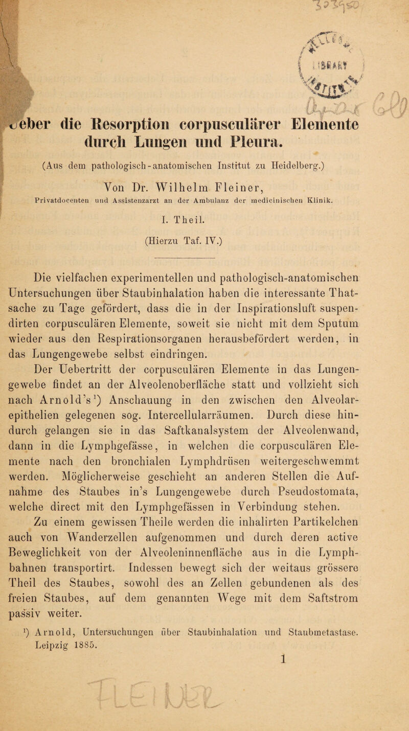 <j eher die Resorption corpusculärer Elemente durch Lungen und Pleura. (Aus dem pathologisch -anatomischen Institut zu Heidelberg.) Von Dr. Wilhelm Flein er, Pri vatdocenten und Assistenzarzt an der Ambulanz der medicinischen Klinik. I. Theil. (Hierzu Taf. IV.) Die vielfachen experimentellen und pathologisch-anatomischen Untersuchungen über Staubinhalation haben die interessante That- sache zu Tage gefördert, dass die in der Inspirationsluft suspen- dirten corpusculären Elemente, soweit sie nicht mit dem Sputum wieder aus den Respirationsorganen herausbefördert werden, in das Lungengewebe selbst eindringen. Der Uebertritt der corpusculären Elemente in das Lungen¬ gewebe findet an der Alveolenoberfläche statt und vollzieht sich nach ArnoldV) Anschauung in den zwischen den Alveolar- epithelien gelegenen sog. Intercellularräumen. Durch diese hin¬ durch gelangen sie in das Saftkanalsystem der Alveolenwand, dann in die Lymphgefässe, in welchen die corpusculären Ele¬ mente nach den bronchialen Lymphdrüsen weitergeschwemmt werden. Möglicherweise geschieht an anderen Stellen die Auf¬ nahme des Staubes in’s Lungengewebe durch Pseudostomata, welche direct mit den Lymphgefässen in Verbindung stehen. Zu einem gewissen Theile werden die inhalirten Partikelchen auch von Wanderzellen aufgenommen und durch deren active Beweglichkeit von der Alveoleninnenfläche aus in die Lymph- bahnen transportirt. Indessen bewegt sich der weitaus grössere Theil des Staubes, sowohl des an Zellen gebundenen als des freien Staubes, auf dem genannten Wege mit dem Saftstrom passiv weiter. *) Arnold, Untersuchungen über Staubinhalation und Staubmetastase. Leipzig 1885.