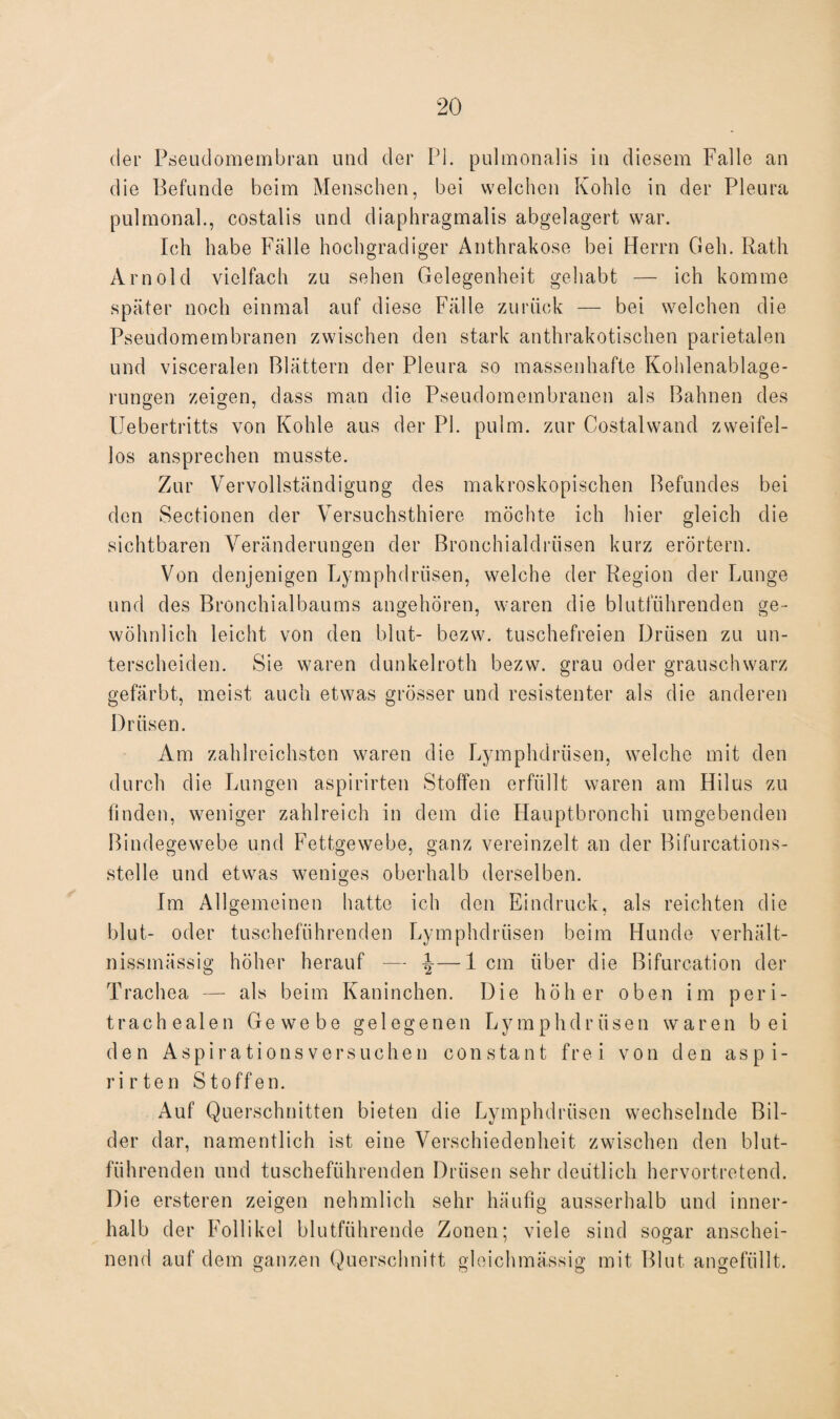 der Pseudomembran und der PI. pulmonalis in diesem Falle an die Befunde beim Menschen, bei welchen Kohle in der Pleura pulmonal., costalis und diaphragmalis abgelagert war. Ich habe Fälle hochgradiger Anthrakose bei Herrn Geh. Rath Arnold vielfach zu sehen Gelegenheit gehabt — ich komme später noch einmal auf diese Fälle zurück — bei welchen die Pseudomembranen zwischen den stark anthrakotischen parietalen und visceralen Blättern der Pleura so massenhafte Kohlenablage¬ rungen zeigen, dass man die Pseudomembranen als Bahnen des Uebertritts von Kohle aus der PI. pulm. zur Costalwand zweifel¬ los ansprechen musste. Zur Vervollständigung des makroskopischen Befundes bei den Sectionen der Versuchsthiere möchte ich hier gleich die sichtbaren Veränderungen der Bronchialdrüsen kurz erörtern. Von denjenigen Lymphdrüsen, welche der Region der Lunge und des Bronchialbaums angehören, waren die blutführenden ge¬ wöhnlich leicht von den blut- bezw. tuschefreien Drüsen zu un¬ terscheiden. Sie waren dunkelroth bezw. grau oder grauschwarz gefärbt, meist auch etwas grösser und resistenter als die anderen Drüsen. Am zahlreichsten waren die Lymphdrüsen, welche mit den durch die Lungen aspirirten Stoffen erfüllt waren am Hilus zu finden, weniger zahlreich in dem die Hauptbronchi umgebenden Bindegewebe und Fettgewebe, ganz vereinzelt an der Bifurcations- stelle und etwas weniges oberhalb derselben. Im Allgemeinen hatte ich den Eindruck, als reichten die blut- oder tuscheführenden Lymphdrüsen beim Hunde verhält- nissmässig höher herauf — —1cm über die Bifurcation der Trachea — als beim Kaninchen. Die höher oben im peri- trachealen Gewebe gelegenen Lymphdrüsen waren bei den Aspirationsversuchen constant frei von den aspi¬ rirten Stoffen. Auf Querschnitten bieten die Lymphdrüsen wechselnde Bil¬ der dar, namentlich ist eine Verschiedenheit zwischen den blut¬ führenden und tuscheführenden Drüsen sehr deutlich hervortretend. Die ersteren zeigen nehmlich sehr häufig ausserhalb und inner¬ halb der Follikel blutführende Zonen; viele sind sogar anschei¬ nend auf dem ganzen Querschnitt gleichmässig mit Blut angefüllt.