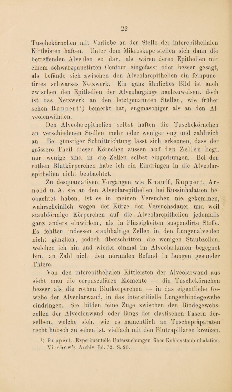 Taschekörnchen mit Vorliebe an der Stelle der interepithelialen Kittleisten haften. Unter dem Mikroskope stellen sich dann die betreffenden Alveolen so dar, als wären deren Epithelien mit einem schwarzpunctirten Contour eingefasst oder besser gesagt, als befände sich zwischen den Alveolarepithelien ein feinpunc- tirtes schwarzes Netzwerk. Ein ganz ähnliches Bild ist auch zwischen den Epithelien der Alveolargänge nachzuweisen, doch ist das Netzwerk an den letztgenannten Stellen, wie früher schon Ruppert1) bemerkt hat, engmaschiger als an den Al¬ veolenwänden. Den Alveolarepithelien selbst haften die Tuschekörnchen an verschiedenen Stellen mehr oder weniger eng und zahlreich an. Bei günstiger Schnittrichtung lässt sich erkennen, dass der grössere Theil dieser Körnchen aussen auf den Zellen liegt, nur wenige sind in die Zellen selbst eingedrungen. Bei den rothen Blutkörperchen habe ich ein Eindringen in die Alveolar¬ epithelien nicht beobachtet. Zu desquamativen Vorgängen wie Knauff, Ruppert, Ar¬ nold u. A. sie an den Alveolarepithelien bei Russinhalation be¬ obachtet haben, ist es in meinen Versuchen nie gekommen, wahrscheinlich wegen der Kürze der Versuchsdauer und weil staubförmige Körperchen auf die Alveolarepithelien jedenfalls ganz anders einwirken, als in Flüssigkeiten suspendirte Stoffe. Es fehlten indessen staubhaltige Zellen in den Lungenalveolen nicht gänzlich, jedoch überschritten die wenigen Staubzellen, welchen ich hin und wieder einmal im Alveolarlumen begegnet bin, an Zahl nicht den normalen Befund in Lungen gesunder Thiere. Von den interepithelialen Kittleisten der Alveolarwand aus sieht man die corpusculären Elemente — die Tuschekörnchen besser als die rothen Blutkörperchen — in das eigentliche Ge¬ webe der Alveolarwand, in das interstitielle Lungenbindegewebe eindringen. Sie bilden feine Züge zwischen den Bindegewebs¬ zellen der Alveolenwand oder längs der elastischen Fasern der¬ selben, welche sich, wie es namentlich an Tuschepräparaten recht hübsch zu sehen ist, vielfach mit den Blutcapillaren kreuzen. ') Ruppert, Experimentelle Untersuchungen über Kohlenstaubinhalation. Virchow’s Archiv Bd. 72. S. 20.