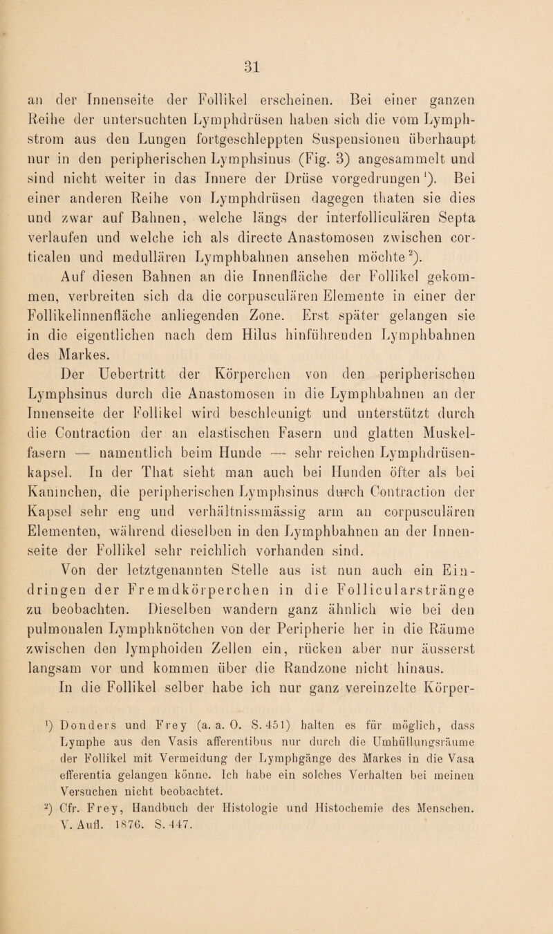 an der Innenseite der Follikel erscheinen. Bei einer ganzen Reihe der untersuchten Lymphdrtisen haben sich die vom Lymph- strom aus den Lungen fortgeschleppten Suspensionen überhaupt nur in den peripherischen Lymphsinus (Fig. 3) angesammelt und sind nicht weiter in das Innere der Drüse vorgedrungen l). Bei einer anderen Reihe von Lymphdrüsen dagegen thaten sie dies und zwar auf Bahnen, welche längs der interfolliculären Septa verlaufen und welche ich als directe Anastomosen zwischen cor- ticalen und medullären Lymphbahnen ansehen möchte2). Auf diesen Bahnen an die Innenfläche der Follikel gekom¬ men, verbreiten sich da die corpuseulären Elemente in einer der Follikelinnenfläche anliegenden Zone. Erst später gelangen sie in die eigentlichen nach dem Hilus hinführenden Lymphbahnen des Markes. Der Uebertritt der Körperchen von den peripherischen Lymphsinus durch die Anastomosen in die Lymphbahnen an der Innenseite der Follikel wird beschleunigt und unterstützt durch die Contraction der an elastischen Fasern und glatten Muskel¬ fasern — namentlich beim Hunde — sehr reichen Lymphdrüsen- kapsel. In der That sieht man auch bei Hunden öfter als bei Kaninchen, die peripherischen Lymphsinus durch Contraction der Kapsel sehr eng und verhältnissmässig arm an corpuseulären Elementen, während dieselben in den Lymphbahnen an der Innen¬ seite der Follikel sehr reichlich vorhanden sind. Von der letztgenannten Stelle aus ist nun auch ein Ein¬ dringen der Fremdkörperchen in die Follicularstränge zu beobachten. Dieselben wandern ganz ähnlich wie bei den pulmonalen Lymphknötchen von der Peripherie her in die Räume zwischen den lymphoiden Zellen ein, rücken aber nur äusserst langsam vor und kommen über die Randzone nicht hinaus. In die Follikel selber habe ich nur ganz vereinzelte Körper- !) Donders und Frey (a. a. 0. S. 451) halten es für möglich, dass Lymphe aus den Yasis afferentibus nur durch die Umhüllungsräume der Follikel mit Vermeidung der Lymphgänge des Markes in die Vasa efferentia gelangen könne. Ich habe ein solches Verhalten bei meinen Versuchen nicht beobachtet. 2) Cfr. Frey, Handbuch der Histologie und Histochemie des Menschen. V. Auf]. IS76. S.-447.