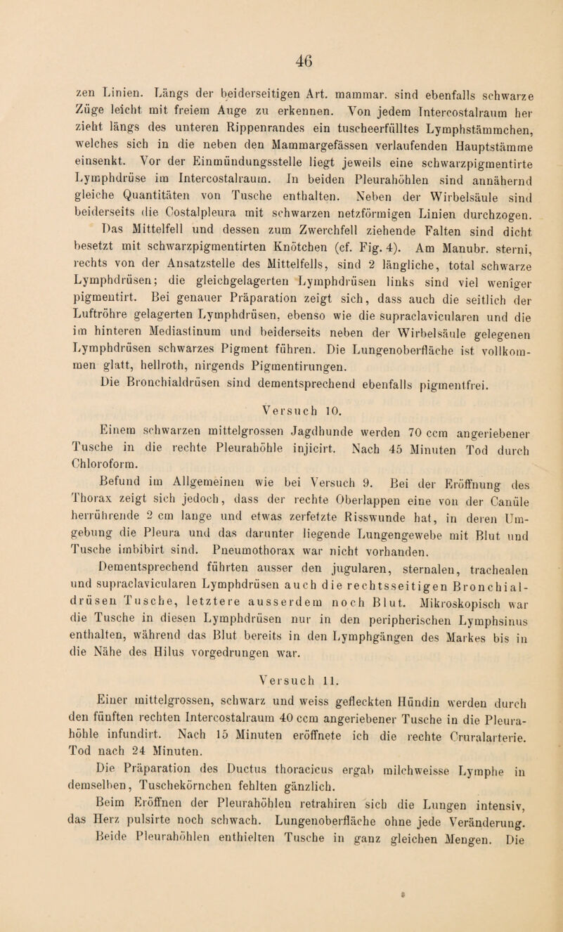zen Linien. Längs der beiderseitigen Art. mammar. sind ebenfalls schwarze Züge leicht mit freiem Auge zu erkennen. Von jedem Tntercostalraum her zieht längs des unteren Rippenrandes ein tuscheerfülltes Lymphstämmchen, welches sich in die neben den Mammargefässen verlaufenden Hauptstämme einsenkt. Vor der Einmündungsstelle liegt jeweils eine schwarzpigmentirte Lymphdrüse im Intercostalraum. In beiden Pleurahöhlen sind annähernd gleiche Quantitäten von Tusche enthalten. Neben der Wirbelsäule sind beiderseits die Costalpleura mit schwarzen netzförmigen Linien durchzogen. Das Mittelfell und dessen zum Zwerchfell ziehende Falten sind dicht besetzt mit schwarzpigmentirten Knötchen (cf. Fig. 4). Am Manubr. sterni, rechts von der Ansatzstelle des Mittelfells, sind 2 längliche, total schwarze Lymphdrüsen; die gleichgelagerten Lymphdrüsen links sind viel weniger pigmentirt. Bei genauer Präparation zeigt sich, dass auch die seitlich der Luftröhre gelagerten Lymphdrüsen, ebenso wie die supraclavicularen und die im hinteren Mediastinum und beiderseits neben der Wirbelsäule gelegenen Lymphdrüsen schwarzes Pigment führen. Die Lungenoberfläche ist vollkom¬ men glatt, hellroth, nirgends Pigmentirungen. Die Bronchialdrüsen sind dementsprechend ebenfalls pigmentfrei. Versuch 10. Einem schwarzen mittelgrossen Jagdhunde werden 70 ccm angeriebener Tusche in die rechte Pleurahöhle injicirt. Nach 45 Minuten Tod durch Chloroform. Befund im Allgemeinen wie bei Versuch 9. Bei der Eröffnung des Thorax zeigt sich jedoch, dass der rechte Oberlappen eine von der Canüle herrührende 2 cm lange und etwas zerfetzte Risswunde hat, in deren Um¬ gebung die Pleura und das darunter liegende Lungengewebe mit Blut und Tusche imbibirt sind. Pneumothorax war nicht vorhanden. Dementsprechend führten ausser den jugularen, sternaleu, trachealen und supraclavicularen Lymphdrüsen auch die rechtsseitigen Bronchial¬ drüsen Tusche, letztere ausserdem noch Blut. Mikroskopisch war die Tusche in diesen Lymphdrüsen nur in den peripherischen Lymphsinus enthalten, während das Blut bereits in den Lymphgängen des Markes bis in die Nähe des Hilus vorgedrungen war. Versuch 11. Einer mittelgrossen, schwarz und weiss gefleckten Hündin werden durch den fünften rechten Intercostalraum 40 ccm angeriebener Tusche in die Pleura¬ höhle infundirt. Nach 15 Minuten eröffnete ich die rechte Cruralarterie. Tod nach 24 Minuten. Die Präparation des Ductus thoracicus ergab milchweisse Lymphe in demselben, Tuschekörnchen fehlten gänzlich. Beim Eröffnen der Pleurahöhlen retrahiren sich die Lungen intensiv, das Herz pulsirte noch schwach. Lungenoberfläche ohne jede Veränderung. Beide Pleurahöhlen enthielten Tusche in ganz gleichen Mengen. Die *
