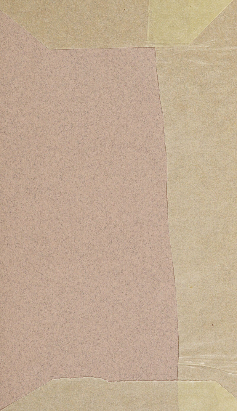 Sapsk* >• v .'Bli ■ y. - ry>:; ^Sv.-; ' :••/ ' . -y,:- , v '. vlVi 1 *; «sU;-. V •.^V's •!? I 'J. r y.,1» ’ ■•' ^ ' v$£ -V •''H ' v ' / ,\ ' /' 'l'1 plfgp ' }-'c3T'TÇf - :)’- :>••■• -«gRI;. -Vi..».; 'i - :« '<&*.;••.-:';ï-ïs ££% faS®