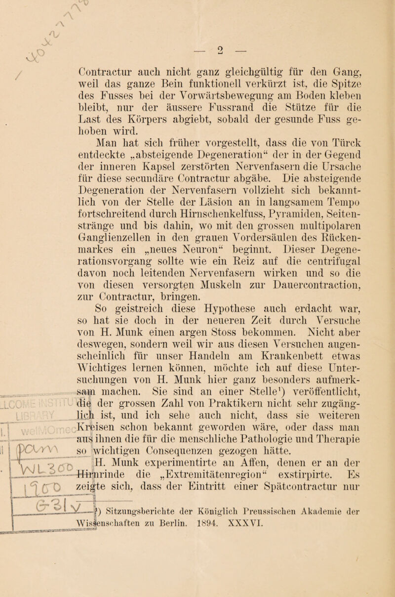 1 V A \ eP f\j / Contractur auch nicht ganz gleichgültig für den Gang, weil das ganze Bein funktionell verkürzt ist, die Spitze des Fusses hei der Vorwärtsbewegung am Boden kleben bleibt, nur der äussere Fussrand die Stütze für die Last des Körpers abgiebt, sobald der gesunde Fuss ge¬ hoben wird. Man hat sich früher vorgestellt, dass die von Türck entdeckte „absteigende Degeneration“ der in der Gegend der inneren Kapsel zerstörten Nervenfasern die Ursache für diese secundäre Contractur abgäbe. Die absteigende Degeneration der Nervenfasern vollzieht sich bekannt¬ lich von der Stelle der Läsion an in langsamem Tempo fortschreitend durch Hirnschenkelfuss, Pyramiden, Seiten¬ stränge und bis dahin, wo mit den grossen multipolaren Ganglienzellen in den grauen Vordersäulen des Bücken¬ markes ein „neues Neuron“ beginnt. Dieser Degene¬ rationsvorgang sollte wie ein Beiz auf die centrifugal davon noch leitenden Nervenfasern wirken und so die von diesen versorgten Muskeln zur Dauercontraction, zur Contractur, bringen. So geistreich diese Hypothese auch erdacht war, so hat sie doch in der neueren Zeit durch Versuche von H. Munk einen argen Stoss bekommen. Nicht aber deswegen, sondern weil wir aus diesen Versuchen augen¬ scheinlich für unser Handeln am Krankenbett etwas Wichtiges lernen können, möchte ich auf diese Unter¬ suchungen von H. Munk hier ganz besonders aufmerk¬ sam machen. Sie sind an einer Stelle1) veröffentlicht, die der grossen Zahl von Praktikern nicht sehr zugäng¬ lich ist, und ich sehe auch nicht, dass sie weiteren Kreisen schon bekannt geworden wäre, oder dass man aus ihnen die für die menschliche Pathologie und Therapie (pCt yA so wichtigen Consequenzen gezogen hätte, f . v H. Munk experimentirte an Affen, denen er an der -HMirinde die „Extremitätenregion“ exstirpirte. Es iM. zeigte sich, dass der Eintritt einer Spätcontractur nur & v I v Wisi ) Sitzungsberichte der Königlich Preussischen Akademie der enschaften zu Berlin. 1894. XXXVI.