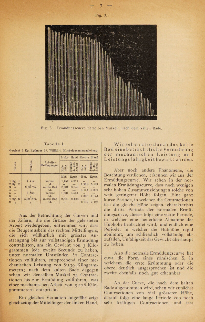 Fig. 3, f Fig. 3. Ermüdungscurve derselben Muskeln nach dem kalten Bade. Tabelle 1. Gewicht 3 Kar. Rythraus 2. Willkürl. Muskelzusammenziehung. Curven Stunden Arbeits- Bedingungen Linke Hand Rechte Hand Hub¬ höhe Summe d. geh Arbeit Hub¬ höhe Summe d. gel. Arbeit Met. Kgmt. Met. Kgmt. 1 fig. 1 7 Vm. normal 1,457 4,371 — — 2 fig. 2 id. — — 1,713 5,139 3 - 9,3U Vm. kaltes Bad 2,681 8,043 — — 4 - id. — — 3,103 9,309 5 - 2 Nm. normal 1,501 4,503 — — 6 — id. — — 1,618 4,854 7 fig. 3 5,30 Nm. kaltes Bad 2,821 8,463 — — 8 „ n id. — — 3,042 9,126 Aus der Betrachtung der Curven und der Ziffern, die die Grosse der geleisteten Arbeit wiedergeben, entnehmen wir, dass die Beugemuskeln des rechten Mittelfingers, die sich willkürlich mit grösster An¬ strengung bis zur vollständigen Ermüdung contrahirten, um ein Gewicht von 3 Kilo¬ grammen jede zweite Secunde zu heben, unter normalen Umständen 5o Contrac- tionen vollführen, entsprechend einer me¬ chanischen Leistung von 5* 139 Kilogram¬ metern; nach dem kalten Bade dagegen sehen wir denselben Muskel 74 Contrac- tionen bis zur Ermüdung vollführen, was einer mechanischen Arbeit von 9'126 Kilo¬ grammetern entspricht. Ein gleiches Verhalten ungefähr zeigt gleichzeitig der Mittelfinger der linken Hand. Wir sehen also durch das kalte Bad eine beträchtliche Vermehrung der mechanischen Leistung und Leistungsfähigkeit bewirkt werden. t Aber noch andere Phänomene, die Beachtung verdienen, erkennen wir aus der Ermüdungscurve. Wir sehen in der nor¬ malen Ermüdungscurve, dass nach wenigen sehr hohen Zusammenziehungen solche von weit geringerer Höhe folgen. Eine ganz kurze Periode, in welcher die Gontractionen fast die gleiche Höhe zeigen, charakterisirt die dritte Periode der normalen Ermü¬ dungscurve, dieser folgt eine vierte Periode, in welcher eine neuerliche Abnahme der Hubhöhe beobachtet wird, und endlich eine Periode, in welcher die Hubhöhe rapid abnimmt, um schliesslich vollständig ab¬ zufallen, Unfähigkeit das Gewicht überhaupt zu heben. Also die normale Ermüdungscurve hat etwa die Form eines römischen S, in welchem die erste Krümmung oder die obere deutlich ausgesprochen ist und die zweite ebenfalls noch gut erkennbar. An der Curve, die nach dem kalten Bade abgenommen wird, sehen wir zunächst Gontractionen von viel grösserer Höhe, darauf folgt eine lange Periode von noch sehr kräftigen Gontractionen und fast