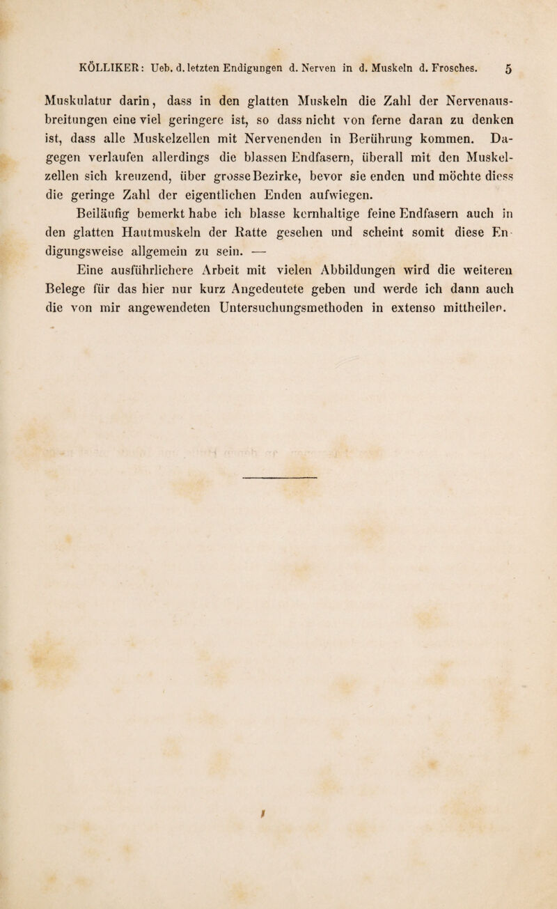 Muskulatur darin, dass in den glatten Muskeln die Zahl der Nervenaus- breitungen eine viel geringere ist, so dass nicht von ferne daran zu denken ist, dass alle Muskelzellen mit Nervenenden in Berührung kommen. Da¬ gegen verlaufen allerdings die blassen Endfasern, überall mit den Muskel¬ zellen sich kreuzend, über grosseBezirke, bevor sie enden und möchte diess die geringe Zahl der eigentlichen Enden aufwiegen. Beiläufig bemerkt habe ich blasse kernhaltige feine Endfasern auch in den glatten Hautmuskeln der Ratte gesehen und scheint somit diese En digungsweise allgemein zu sein. — Eine ausführlichere Arbeit mit vielen Abbildungen wird die weiteren Belege für das hier nur kurz Angedeutete geben und werde ich dann auch die von mir angewendeten Untersuchungsmethoden in extenso mittheilen. ß