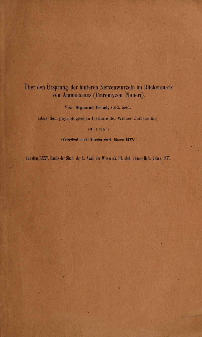 Uber den Ursprung der hinteren Nervenwurzeln im Rückenmark von Ammocoetes (Petromyzon Planeri). Von Sigmund Freud, stud. med. (Aus dem physiologischen Institute der Wiener Universität.) (Mit 1 Tafel.) (Vorgelegt in der Sitzung am 4. Jänner 1877.) ♦ , ■ * Aus dem LXXF. Bande der Srtzb. der k. Akad. der Wissensch. III. AMh. Jänner-Heft. Jahrg. 1877. t