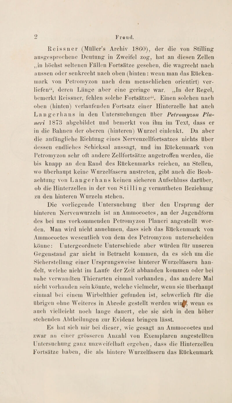 Reissner (Müller's Archiv 1860), der die von Stilling ausgesprochene Deutung in Zweifel zog, hat an diesen Zellen „in höchst seltenen Fällen Fortsätze gesehen, die wagrecht nach aussen oder senkrecht nach oben (hinten: wenn man das Rücken¬ mark von Petromyzon nach dem menschlichen orientirt) ver¬ liefen“, deren Länge aber eine geringe war. ,,In der Regel, bemerkt Reissner, fehlen solche Fortsätze“. Einen solchen nach oben (hinten) verlaufenden Fortsatz einer Hinterzelle hat auch Langerhans in den Untersuchungen über Petromyzon Pta- neri 1873 abgebildet und bemerkt von ihm im Text, dass er in die Bahnen der oberen (hinteren) Wurzel einlenkt. Da aber die anfängliche Richtung eines Nervenzellfortsatzes nichts über dessen endliches Schicksal aussagt, und im Rückenmark von Petromyzon sehr oft andere Zellfortsätze angetroffen werden, die bis knapp an den Rand des Rückenmarks reichen, an Stellen, wo überhaupt keine Wurzelfasern austreten, gibt auch die Beob¬ achtung von Langerhans keinen sicheren Aufschluss darüber, ob die Hinterzellen in der von Stilling vermutheten Beziehung zu den hinteren Wurzeln stehen. Die vorliegende Untersuchung über den Ursprung der hinteren Nervenwurzeln ist an Ammocoetes, an der Jugendform des bei uns vorkommenden Petromyzon Planeri angestellt wor¬ den. Man wird nicht annehmen, dass sich das Rückenmark von Ammocoetes wesentlich von dem des Petromyzon unterscheiden könne: Untergeordnete Unterschiede aber würden für unseren Gegenstand gar nicht in Betracht kommen, da es sich um die Sicherstellung einer Ursprungsweise hinterer Wurzelfasern han¬ delt, welche nicht im Laufe der Zeit abhanden kommen oder bei nahe verwandten Thierarten einmal vorhanden, das andere Mal nicht vorhanden sein könnte, welche vielmehr, wenn sie überhaupt einmal bei einem Wirbelthier gefunden ist, schwerlich für die übrigen ohne Weiteres in Abrede gestellt werden wir^ wenn es auch vielleicht noch lange dauert, ehe sie sich in den höher stehenden Abtheilungen zur Evidenz bringen lässt. Es hat sich mir bei dieser, wie gesagt an Ammocoetes und zwar an einer grösseren Anzahl von Exemplaren angestellten Untersuchung ganz unzweifelhaft ergeben, dass die Hinterzellen Fortsätze haben, die als hintere Wurzelfasern das Rückenmark