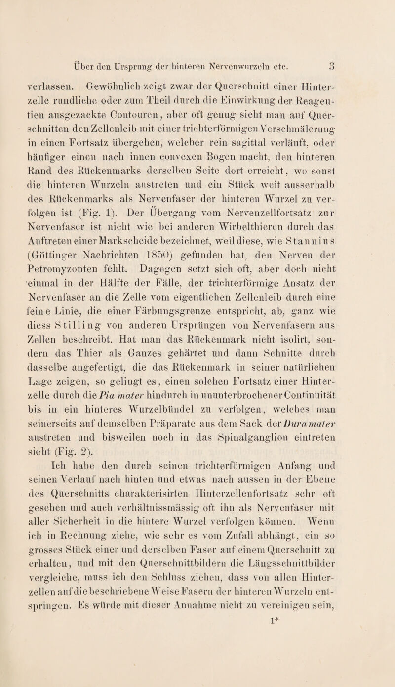 verlassen. Gewöhnlich zeigt zwar der Querschnitt einer Hinter¬ zelle rundliche oder zum Theil durch die Einwirkung der Reageu- tien ausgezackte Contouren, aber oft genug sieht man auf Quer¬ schnitten den Zellenleib mit einer trichterförmigen Verschmälerung in einen Fortsatz übergehen, welcher rein sagittal verläuft, oder häufiger einen nach innen convexen Bogen macht, den hinteren Rand des Rückenmarks derselben Seite dort erreicht, wo sonst die hinteren Wurzeln austreten und ein Stück weit ausserhalb des Rückenmarks als Nervenfaser der hinteren Wurzel zu ver¬ folgen ist (Fig. 1). Der Übergang vom Nervenzellfortsatz zur Nervenfaser ist nicht wie bei anderen Wirbelthieren durch das Auftreteneiner Markscheide bezeichnet, weildiese, wie Stannius (Göttinger Nachrichten 1850) gefunden hat, den Nerven der Petromyzonten fehlt. Dagegen setzt sich oft, aber doch nicht einmal in der Hälfte der Fälle, der trichterförmige Ansatz der Nervenfaser an die Zelle vom eigentlichen Zellenleib durch eine feine Linie, die einer Färbungsgrenze entspricht, ab, ganz wie diess Stilling von anderen Ursprüngen von Nervenfasern aus Zellen beschreibt. Hat man das Rückenmark nicht isolirt, son¬ dern das Thier als Ganzes gehärtet und dann Schnitte durch dasselbe angefertigt, die das Rückenmark in seiner natürlichen Lage zeigen, so gelingt es, einen solchen Fortsatz einer Hinter¬ zelle durch die Pia mater hindurch in ununterbrochener Continuität bis in ein hinteres Wurzelbündel zu verfolgen, welches man seinerseits auf demselben Präparate aus dem Sack dev Dura mater austreten und bisweilen noch in das Spinalganglion eintreten sieht (Fig. 2). Ich habe den durch seinen trichterförmigen Anfang und seinen Verlauf nach hinten und etwas nach aussen in der Ebene des Querschnitts charakterisirten Hinterzellenfortsatz sehr oft gesehen und auch verhältnissmässig oft ihn als Nervenfaser mit aller Sicherheit in die hintere Wurzel verfolgen können. Wenn ich in Rechnung ziehe, wie sehr es vom Zufall abhängt, ein so grosses Stück einer und derselben Faser auf einem Querschnitt zu erhalten, und mit den Querschnittbildern die Längsschnittbilder vergleiche, muss ich den Schluss ziehen, dass von allen Hinter¬ zellen auf diebeschriebene WeiseFasern der hinteren Wurzeln ent¬ springen. Es würde mit dieser Annahme nicht zu vereinigen sein, 1*