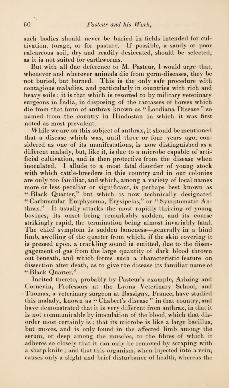 such bodies should never be buried in fields intended for cul¬ tivation, forage, or for pasture. If possible, a sandy or poor calcareous soil, dry and readily desiccated, should be selected, as it is not suited for earthworms. But with all due deference to M. Pasteur, I would urge that, whenever and wherever animals die from germ-diseases, they be not buried, but burned. This is the only safe procedure with contagious maladies, and particularly in countries with rich and heavy soils ; it is that which is resorted to by military veterinary surgeons in India, in disposing of the carcasses of horses which die from that form of anthrax known as “ Loodiana Disease ” so named from the country in Hindostan in which it was first noted as most prevalent. While we are on this subject of anthrax, it should be mentioned that a disease which was, until three or four years ago, con¬ sidered as one of its manifestations, is now distinguished as a different malady, but, like it, is due to a microbe capable of arti¬ ficial cultivation, and is then protective from the disease when inoculated. I allude, to a most fatal disorder of young stock with which cattle-breeders in this country and in our colonies are only too familiar, and which, among a variety of local names more or less peculiar or significant, is perhaps best known as “ Black Quarter,” but which is now technically designated “ Carbuncular Emphysema, Erysipelas,” or “ Symptomatic An¬ thrax.” It usually attacks the most rapidly thriving of young bovines, its onset being remarkably sudden, and its course strikingly rapid, the termination being almost invariably fatal. The chief symptom is sudden lameness—generally in a hind limb, swelling of the quarter from which, if the skin covering it is pressed upon, a crackling sound is emitted, due to the disen¬ gagement of gas from the large quantity of dark blood thrown out beneath, and which forms such a characteristic feature on dissection after death, as to give the disease its familiar name of “ Black Quarter.” Incited thereto, probably by Pasteur’s example, Arloing and Cornevin, Professors at the Lyons Veterinary School, and Thomas, a veterinary surgeon at Bassigny, France, have studied this malady, known as “ Chabert’s disease ” in that country, and have demonstrated that it is very different from anthrax, in that it is not communicable bv inoculation of the blood, which that dis- order most certainly is ; that its microbe is like a large bacillus, but moves, and is only found in the affected limb among the serum, or deep among the muscles, to the fibres of which it adheres so closely that it can only be removed by scraping with a sharp knife ; and that this organism, when injected into a vein, causes only a slight and brief disturbance of health, whereas the