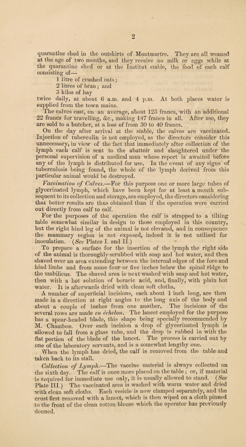 quarantine shed in the outskirts of Montmartre. They are all weaned at the age of two months, and they receive no milk or eggs while at the quarantine shed or at the Institut stable, the food of each calf consisting of— 3. litre of crushed oats; 2 litres of bran; and 3 kilos of hay twice daily, at about 6 a.m. and 4 p.m. At both places water is supplied from the town mains. The calves cost, on an average, about 125 francs, with an additional 22 francs for travelling, &c., making 147 francs in all. After use, they are sold to a butcher, at a loss of from 30 to 40 francs. On the day after arrival at the stable, the calves are vaccinated. Injection of tuberculin is not employed, as the directors consider this unnecessary, in view of the fact that immediately after collection of the lymph each calf is sent to the abattoir and slaughtered under the personal supervision of a medical man whose report is awaited before any of the lymph is distributed for use. In the event of any signs of tuberculosis being found, the whole of the lymph derived from this particular animal would be destroyed. Vaccination of Calves.—For this purpose one or more large tubes of glycerinated lymph, which have been kept for at least a month sub¬ sequent to its collection and storage, are employed, the directors considering that better results are thus obtained than if the operation were carried out directly from calf to calf. For the purposes of the operation the calf is strapped to a tilting table somewhat similar in design to those employed in this country, but the right hind leg of the animal is not elevated, and in consequence the mammary region is not exposed, indeed it is not utilised for inoculation. (See Plates I. and II.) To prepare a surface for the insertion of the lymph the right side of the animal is thoroughly scrubbed with soap and hot water, and then shaved over an area extending between the internal edges of the fore and hind limbs and from some four or five inches below the spinal ridge to- the umbilicus. The shaved area is next washed with soap and hot water, then with a hot solution of boracic acid, and, finally, with plain hot water. It is afterwards dried with clean soft cloths. A number of superficial incisions, each about 1 inch long, are then made in a direction at right angles to the long axis of the body and about a couple of inches from one another. The incisions of the several rows are made en echelon. The lancet employed for the purpose has a spear-headed blade, this shape being specially recommended by M. Chambon. Over each incision a drop of glycerinated lymph is allowed to fall from a glass tube, and the drop is rubbed in with the flat portion of the blade of the lancet. The process is carried out by one of the laboratory servants, and is a somewhat lengthy one. When the lymph has dried, the calf is removed from the table and taken back to its stall. Collection of Lymph.—The vaccine material is always collected on the sixth day. The calf is once more placed on the table ; or, if material is required for immediate use only, it is usually allowed to stand. (See Plate III.) The vaccinated area is washed with warm water and dried with clean soft cloths. Each vesicle is now clamped separately, and the crust first removed with a lancet, which is then wiped on a cloth pinned to the front of the clean cotton blouse which the operator has previously donned.