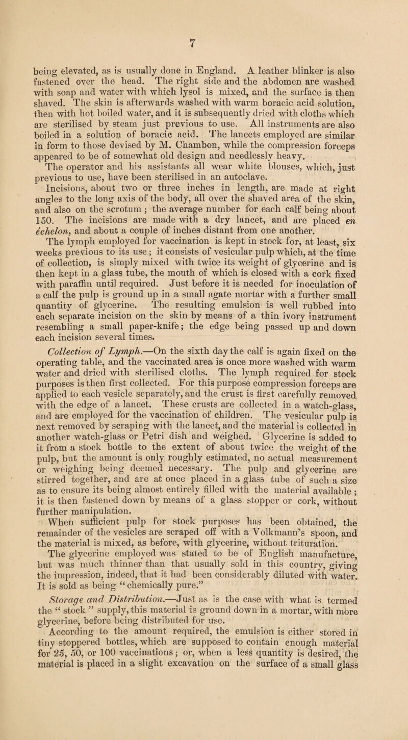 being elevated, as is usually done in England. A leather blinker is also fastened over the head. The right side and the abdomen are washed with soap and water with which lysol is mixed, and the surface is then shaved. The skin is afterwards washed with warm boracic acid solution, then with hot boiled water, and it is subsequently dried with cloths which are sterilised by steam just previous to use. All instruments are also boiled in a solution of boracic acid. The lancets employed are similar in form to those devised by M. Chambon, while the compression forceps appeared to be of somewhat old design and needlessly heavy. The operator and his assistants all wear white blouses, which, just previous to use, have been sterilised in an autoclave. Incisions, about two or three inches in length, are made at right angles to the long axis of the body, all over the shaved area of the skin, and also on the scrotum ; the average number for each calf being about 150. The incisions are made with a dry lancet, and are placed en echelon, and about a couple of inches distant from one another. The lymph employed for vaccination is kept in stock for, at least, six weeks previous to its use; it consists of vesicular pulp which, at the time of collection, is simply mixed with twice its weight of glycerine and is then kept in a glass tube, the mouth of which is closed with a cork fixed with paraffin until required. Just before it is needed for inoculation of a calf the pulp is ground up in a small agate mortar with a further small quantity of glycerine. The resulting emulsion is well rubbed into each separate incision on the skin by means of a thin ivory instrument resembling a small paper-knife; the edge being passed up and down each incision several times. Collection of Lymph.—On the sixth day the calf is again fixed on the operating table, and the vaccinated area is once more washed with warm water and dried with sterilised cloths. The lymph required for stock purposes is then first collected. For this purpose compression forceps are applied to each vesicle separately, and the crust is first carefully removed with the edge of a lancet. These crusts are collected in a watch-glass, and are employed for the vaccination of children. The vesicular pulp is next removed by scraping with the lancet, and the material is collected in another watch-glass or Petri dish and weighed. Glycerine is added to it from a stock bottle to the extent of about twice the weight of the pulp, but the amount is only roughly estimated, no actual measurement or weighing being deemed necessary. The pulp and glycerine are stirred together, and are at once placed in a glass tube of such a size as to ensure its being almost entirely filled with the material available ; it is then fastened down by means of a glass stopper or cork, without further manipulation, When sufficient pulp for stock purposes has been obtained, the remainder of the vesicles are scraped off with a Volkmann’s spoon, and the material is mixed, as before, with glycerine, without trituration. The glycerine employed was stated to be of English manufacture, but was much thinner than that usually sold in this country, giving the impression, indeed, that it had been considerably diluted with water. It is sold as being “ chemically pure.” Storage and Distribution.—Just as is the case with what is termed the “ stock ” supply, this material is ground down in a mortar, with more glycerine, before being distributed for use. According to the amount required, the emulsion is either stored in tiny stoppered bottles, which are supposed to contain enough material for 25, 50, or 100 vaccinations; or, when a less quantity is desired, the material is placed in a slight excavation on the surface of a small glass