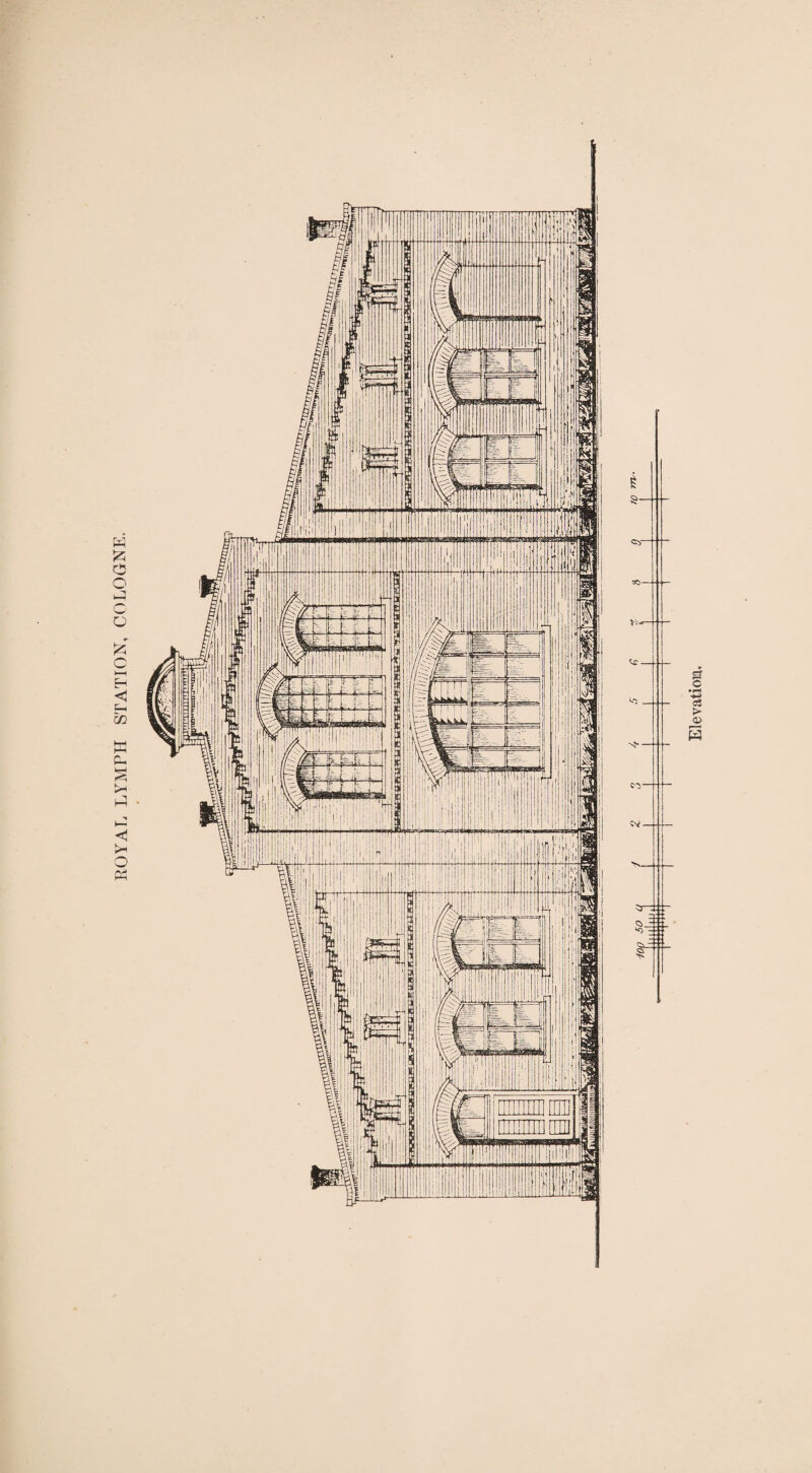 ROYAL LYMPH STATION, COLOGNE. Elevation*.