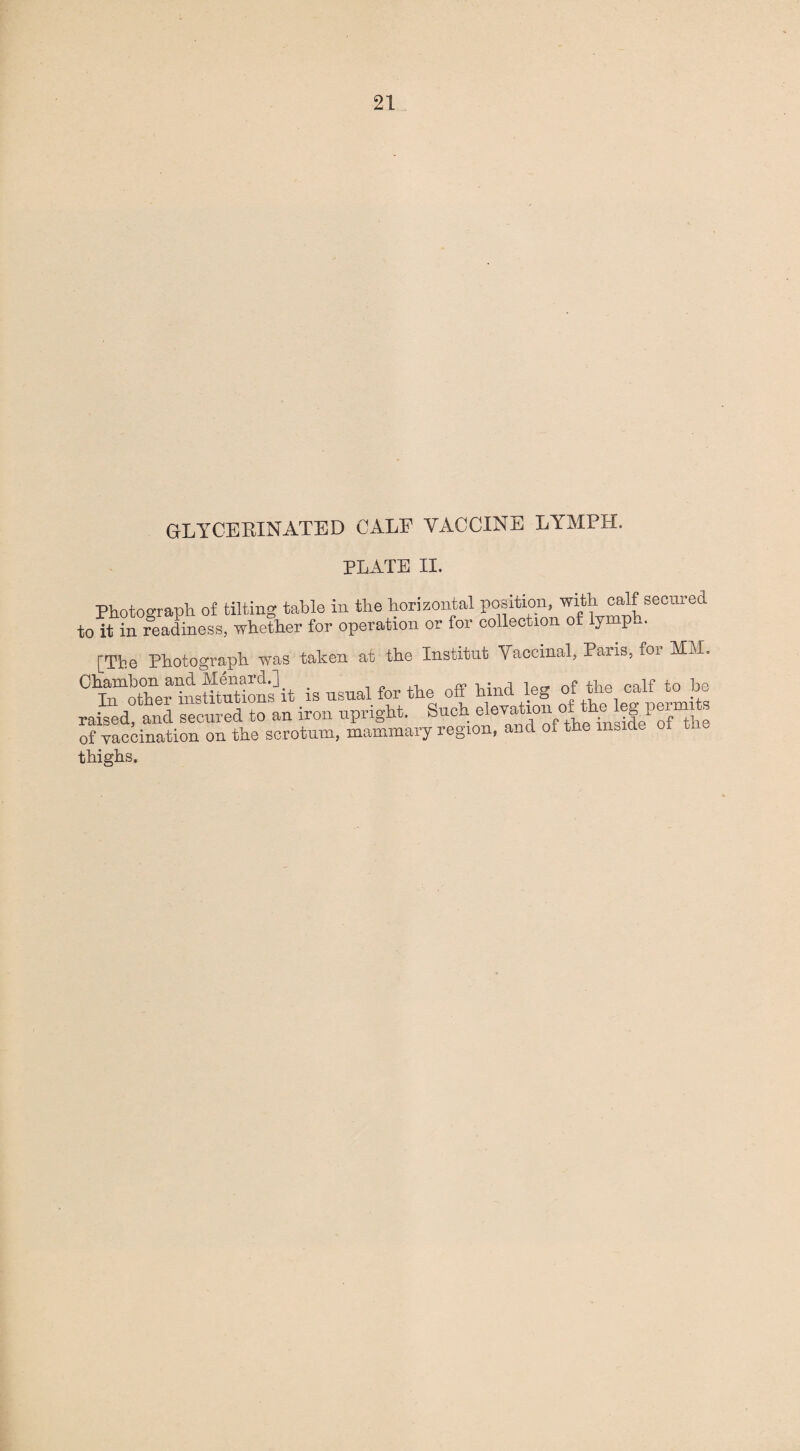 GLYCERINATED CALF VACCINE LYMPH. PLATE II. Photograph of tilting table in the horizontal position, with calf secured to it in readiness, whether for operation or for collection of lymp„. [The Photograph was taken at the Institut Vaccinal, Paris, for MM. Chambon and Menard.] ™ * fup raif +0 iae In other institutions it is usual for the off hind leg of the call to> he raised, and secured to an iron upright. Such elevation of the leg p e . of vaccination on the scrotum, mammary region, and of the inside of tU thighs.