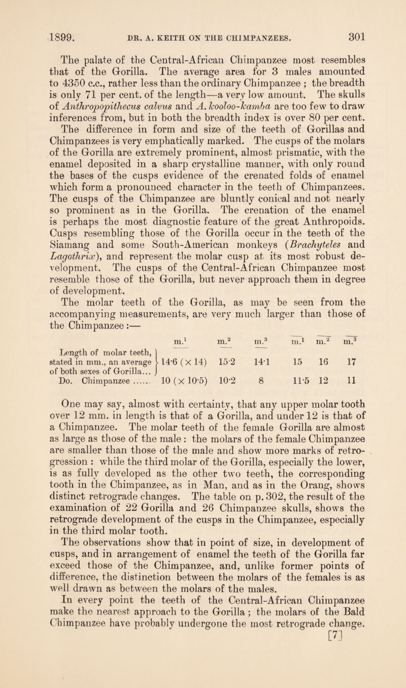 The palate of the Central-African Chimpanzee most resembles that of the Gorilla. The average area for 3 males amounted to 4350 c.c., rather less than the ordinary Chimpanzee ; the breadth is only 71 per cent, of the length—a very low amount. The skulls of Anthropopithecus calvus and A. kooloo-kamba are too few to draw inferences from, but in both the breadth index is over 80 per cent. The difference in form and size of the teeth of Gorillas and Chimpanzees is very emphatically marked. The cusps of the molars of the Gorilla are extremely prominent, almost prismatic, with the enamel deposited in a sharp crystalline manner, with only round the bases of the cusps evidence of the crenated folds of enamel which form a pronounced character in the teeth of Chimpanzees. The cusps of the Chimpanzee are bluntly conical and not nearly so prominent as in the Gorilla. The crenation of the enamel is perhaps the most diagnostic feature of the great Anthropoids. Cusps resembling those of the Gorilla occur in the teeth of the Siamang and some South-American monkeys (Brcichyteles and Lagothrix), and represent the molar cusp at its most robust de¬ velopment. The cusps of the Central-African Chimpanzee most resemble those of the Gorilla, but never approach them in degree of development. The molar teeth of the Gorilla, as may be seen from the accompanying measurements, are very much larger than those of the Chimpanzee:— Length of molar teeth, m.1 m.2 m.3 m.1 m.2 in.3 stated in mm., an average of both sexes of Gorilla... ► 14*6 (x 14) 15-2 14-1 15 16 17 Do. Chimpanzee . 10 (x 10-5) 10-2 8 11-5 12 11 One may say, almost with certainty, that any upper molar tooth over 12 mm. in length is that of a Gorilla, and under 12 is that of a Chimpanzee. The molar teeth of the female Gorilla are almost as large as those of the male : the molars of the female Chimpanzee are smaller than those of the male and show more marks of retro¬ gression : while the third molar of the Gorilla, especially the lower, is as fully developed as the other two teeth, the corresponding tooth in the Chimpanzee, as in Man, and as in the Orang, shows distinct retrograde changes. The table on p. 302, the result of the examination of 22 Gorilla and 26 Chimpanzee skulls, shows the retrograde development of the cusps in the Chimpanzee, especially in the third molar tooth. The observations show that in point of size, in development of cusps, and in arrangement of enamel the teeth of the Gorilla far exceed those of the Chimpanzee, and, unlike former points of difference, the distinction between the molars of the females is as well drawn as between the molars of the males. In every point the teeth of the Central-African Chimpanzee make the nearest approach to the Gorilla; the molars of the Bald Chimpanzee have probably undergone the most retrograde change. [7]