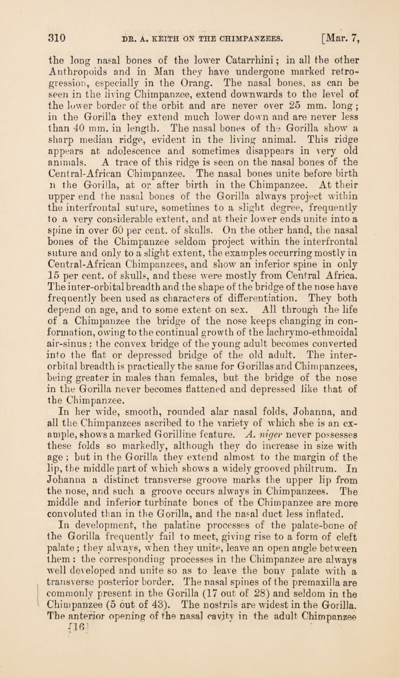 the long nasal bones of the lower Catarrhini; in all the other Anthropoids and in Man they have undergone marked retro¬ gression, especially in the Orang. The nasal bones, as can be seen in the living Chimpanzee, extend downwards to the level of the lower border of the orbit and are never over 25 mm. long ; in the Gorilla thev extend much lower down and are never less than 40 mm. in length. The nasal bones of the Gorilla show a sharp median ridge, evident in the living animal. This ridge appears at adolescence and sometimes disappears in very old animals. A trace of this ridge is seen on the nasal bones of the Central-African Chimpanzee. The nasal bones unite before birth n the Gorilla, at or after birth in the Chimpanzee. At their upper end the nasal bones of the Gorilla always project within the interfrontal suture, sometimes to a slight degree, frequently to a very considerable extent, and at their lower ends unite into a spine in over 60 per cent, of skulls. On the other hand, the nasal hones of the Chimpanzee seldom project within the interfrontal suture and only to a slight extent, the examples occurring mostly in Central-African Chimpanzees, and show an inferior spine in only 15 per cent, of skulls, and these were mostly from Central Africa. The inter-orbital breadth and the shape of the bridge of the nose have frequently been used as characters of differentiation. They both depend on age, and to some extent on sex. All through the life of a Chimpanzee the bridge of the nose keeps changing in con¬ formation, owing to the continual growth of the lachrymo-ethmoidal air-sinus : the convex bridge of the young adult becomes converted into the flat or depressed bridge of the old adult. The inter- orbital breadth is practically the same for Gorillas and Chimpanzees, being greater in males than females, but the bridge of the nose in the Gorilla never becomes flattened and depressed like that of the Chimpanzee. In her wide, smooth, rounded alar nasal folds, Johanna, and all the Chimpanzees ascribed to the variety of which she is an ex¬ ample, shows a marked Gorilline feature. A. niger never possesses these folds so markedly, although they do increase in size with age ; but in the Gorilla they extend almost to the margin of the lip, the middle part of which shows a widely grooved philtrum. In Johanna a distinct transverse groove marks the upper lip from the nose, and such a groove occurs ahvnys in Chimpanzees. The middle and inferior turbinate bones of the Chimpanzee are more convoluted than in the Gorilla, and the nasal duct less inflated. In development, the palatine processes of the palate-bone of the Gorilla frequently fail to meet, giving rise to a form of cleft palate; they always, when they unite, leave an open angle between them : the corresponding processes in the Chimpanzee are always well developed and unite so as to leave the bony palate with a transverse posterior border. The nasal spines of the premaxilla are commonly present in the Gorilla (17 out of 28) and seldom in the Chimpanzee (5 out of 43). The nostrils are widest in the Gorilla. The anterior opening of the nasal cavitv in the adult Chimpanzee {16-1