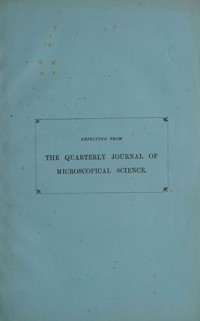 digitised image 1