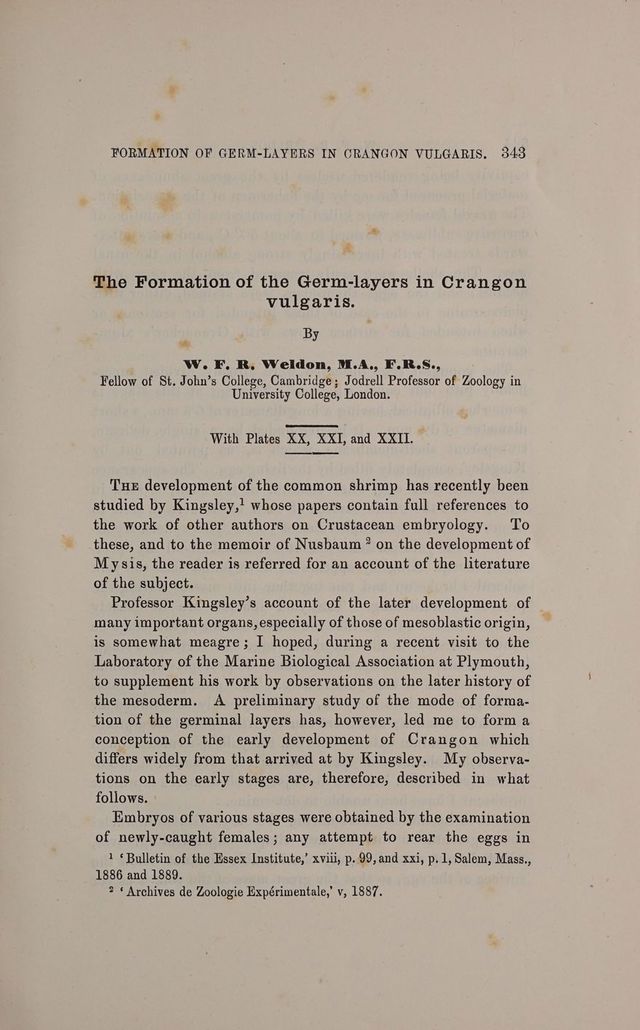 digitised image 3