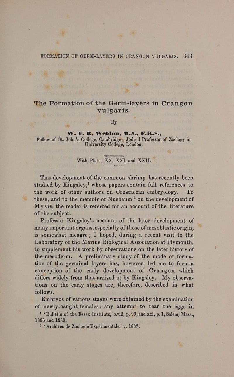 The Formation of the Germ-layers in Crangon vulgaris. By ri Ww. F. R, Weldon, M.A., F.R.S., Fellow of St. John’s College, Cambridge; Jodrell Professor of Zoology in University College, London. With Plates XX, XXI, and XXII. Tue development of the common shrimp has recently been studied by Kingsley,’ whose papers contain full references to the work of other authors on Crustacean embryology. To these, and to the memoir of Nusbaum ” on the development of Mysis, the reader is referred for an account of the literature of the subject. Professor Kingsley’s account of the later development of many important organs, especially of those of mesoblastic origin, is somewhat meagre; I hoped, during a recent visit to the Laboratory of the Marine Biological Association at Plymouth, to supplement his work by observations on the later history of the mesoderm. A preliminary study of the mode of forma- tion of the germinal layers has, however, led me to form a conception of the early development of Crangon which differs widely from that arrived at by Kingsley. My observa- tions on the early stages are, therefore, described in what follows. Embryos of various stages were obtained by the examination of newly-caught females; any attempt to rear the eggs in 1 «Bulletin of the Essex Institute,’ xviii, p. 99,and xxi, p.1, Salem, Mass., 1886 and 1889. 2 * Archives de Zoologie Expérimentale,’ v, 1887.