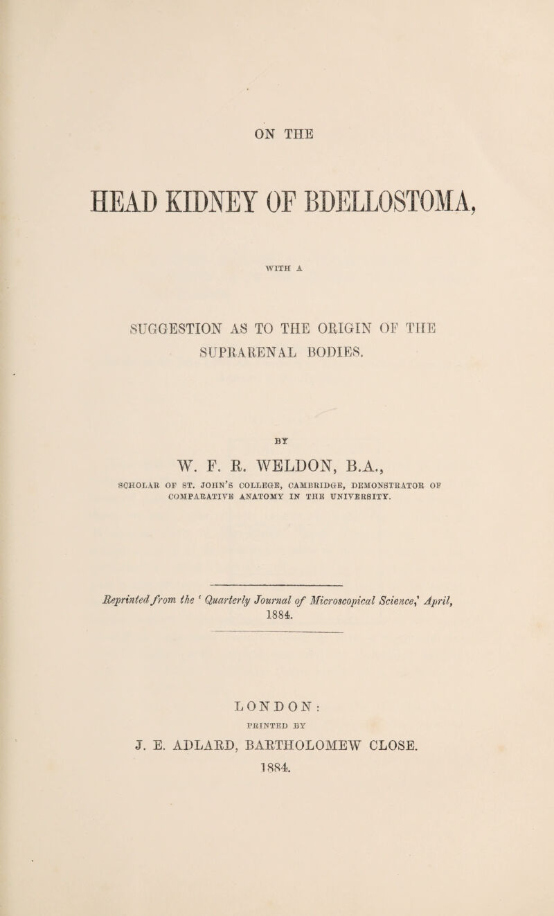 ON THE HEAD KIDNEY OF BDELLOSTOMA, WITH A SUGGESTION AS TO THE ORIGIN OF THE SUPRARENAL BODIES. BT W. F. R. WELDON, B.A., SCHOLAR OF ST. JOHN’S COLLEGE, CAMBRIDGE, DEMONSTRATOR OF COMPARATIVE ANATOMY IN THE UNIVERSITY. Reprinted from the ( Quarterly Journal of Microscopical ScienceApril, 1881 LONDON: PRINTED BY J. E. ADLABD, BAETHOLOMEW CLOSE. 1884.