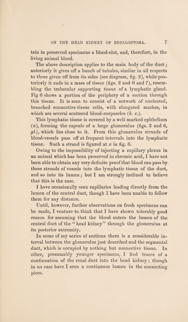 tain in preserved specimens a blood-clot, and, therefore, in the living animal blood. The above description applies to the main body of the duct; anteriorly it gives off a bunch of tubules, similar in all respects to those given off from its sides (see diagram, fig. 2), while pos¬ teriorly it ends in a mass of tissue (figs. 2 and 6 and 7), resem¬ bling the trabecular supporting tissue of a lymphatic gland. Fig 6 shows a portion of the periphery of a section through this tissue. It is seen to consist of a network of nucleated, branched connective-tissue cells, with elongated meshes, in which are several scattered blood-corpuscles (h. c.). This lymphatic tissue is covered by a well -marked epithelium (b), forming the capsule of a large glomerulus (figs. 2 and 6, gl.)} which lies close to it. From this glomerulus strands of blood-vessels pass off at frequent intervals into the lymphatic tissue. Such a strand is figured at x in fig. 6. Owing to the impossibility of injecting a capillary plexus in an animal which has been preserved in chromic acid, I have not been able to obtain any very definite proof that blood can pass by these strands of vessels into the lymphatic tissue of the duct, and so into its lumen; but I am strongly inclined to believe that this is the case. I have occasionally seen capillaries leading directly from the lumen of the central duct, though I have been unable to follow them for any distance. Until, however, further observations on fresh specimens can be made, I venture to think that I have shown tolerably good reason for assuming that the blood enters the lumen of the central duct of the “head kidney” through the glomerulus at its posterior extremity. In some of my series of sections there is a considerable in¬ terval between the glomerulus just described and the segmental duct, which is occupied by nothing but connective tissue. In other, presumably younger specimens, I find traces of a continuation of the renal duct into the head kidney; though in no case have I seen a contiguous lumen in the connecting piece.