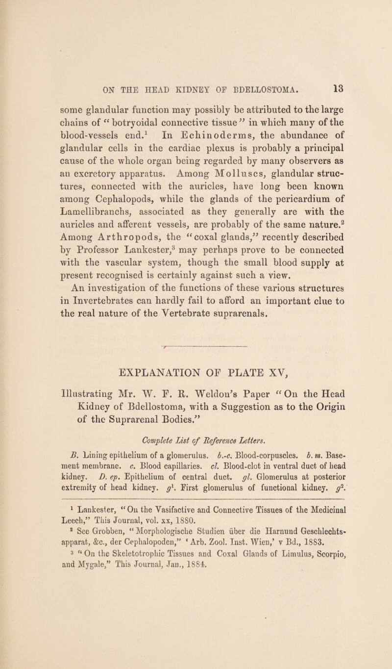 some glandular function may possibly be attributed to the large chains of “ botryoidal connective tissue ” in which many of the blood-vessels end.1 In Echinoderms, the abundance of glandular cells in the cardiac plexus is probably a principal cause of the whole organ being regarded by many observers as an excretory apparatus. Among Molluscs, glandular struc¬ tures, connected with the auricles, have long been known among Cephalopods, while the glands of the pericardium of Lamellibranchs, associated as they generally are with the auricles and afferent vessels, are probably of the same nature.2 Among Arthropods, the “ coxal glands/* recently described by Professor Lankester,3 may perhaps prove to be connected with the vascular system, though the small blood supply at present recognised is certainly against such a view. An investigation of the functions of these various structures in Invertebrates can hardly fail to afford an important clue to the real nature of the Vertebrate suprarenals. EXPLANATION OF PLATE XV, Illustrating Mr. W. E. P. Weldon's Paper “ On the Head Kidney of Bdellostoma, with a Suggestion as to the Origin of the Suprarenal Bodies/* Complete List of Reference Letters. B. Lining epithelium of a glomerulus, b.-c. Blood-corpuscles, b. m. Base¬ ment membrane, c. Blood capillaries, cl. Blood-clot in ventral duct of head kidney. D. ep. Epithelium of central duct. gl. Glomerulus at posterior extremity of head kidney. gx. First glomerulus of functional kidney, gV 1 Lankester, “On the Vasifactive and Connective Tissues of the Medicinal Leech,” This Journal, vol. xx, 1880. 2 See Grobben, “ Morphologische Studien liber die Harnund Geschlechts- apparat, &c., der Cephalopoden/’ e Arb. Zool. Inst. Wien/ v Bd., 1883. 3 “ On the Skeletotrophic Tissues and Coxal Glands of Limulus, Scorpio, and Mygale,” This Journal, Jan., 1881.