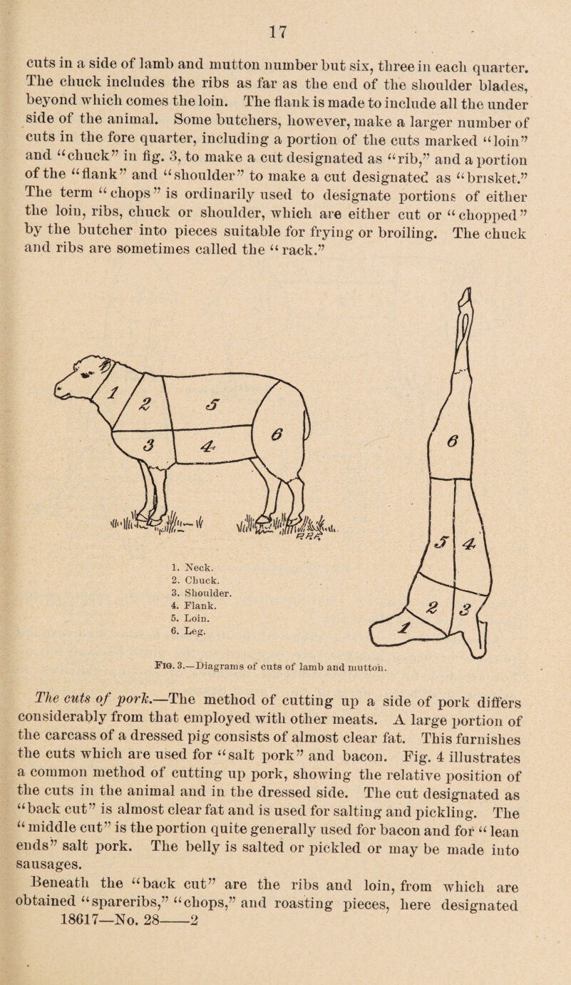 cuts in a side of lamb and mutton number but six, three in each quarter. The chuck includes the ribs as far as the end of the shoulder blades, beyond which comes the loin. The flank is made to include all the under side of the animal. Some butchers, however, make a larger number of cuts in the fore quarter, including a portion of the cuts marked “loin” and “chuck” in fig. 3, to make a cut designated as “rib,” and a portion of the “flank” and “shoulder” to make a cut designated as “brisket,” The term “ chops ” is ordinarily used to designate portions of either the loin, ribs, chuck or shoulder, which are either cut or “chopped” by the butcher into pieces suitable for frying or broiling. The chuck and ribs are sometimes called the “rack.” Fig. 3.—Diagrams of cuts of lamb and mutton. The cuts of porlc.—The method of cutting up a side of pork differs considerably from that employed with other meats. A large portion of the carcass of a dressed pig consists of almost clear fat. This furnishes the cuts which are used for “salt pork” and bacon. Fig. 4 illustrates a common method of cutting up pork, showing the relative position of the cuts in the animal and in the dressed side. The cut designated as “back cut” is almost clear fat and is used for salting and pickling. The “ middle cut” is the portion quite generally used for bacon and for “ lean ends” salt pork. The belly is salted or pickled or may be made into sausages. Beneath the “back cut” are the ribs and loin, from which are obtained “spareribs,” “chops,” and roasting pieces, here designated 18617—No. 28-2