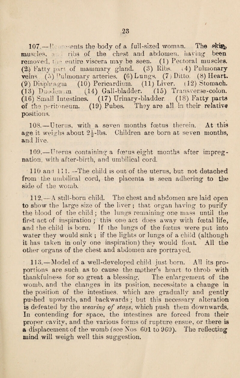 107. — P  ents the body of a full-sized woman. The eki^, muscles, n. ribs of the chest and abdomen, having been removed, re- entire viscera may be seen. (1) Pectoral muscles. (20 P atty part of mammary gland. (3) Ribs. < 4) Pulmonary veins (n) Pulmonary arteries. (0) Lungs. (7) Ditto. (8) Heart. (9) Diaphragm (10) Pericardium. (11) Liver. (12) Stomach. (13) Duuden m (14) Gall-bladder. (15) Tra ns verse-colon. (16) Small Intestines. (17) Urinary-bladder. (18) Fatty parts of the peritoneum. (19) Pubes. They are all in their relative positions. 108. —Uterus, with a seven months foetus therein. At this age it weighs about 2^-lbs. Children are born at seven months, and live. 109. —Uterus containing a foetus eight months after impreg¬ nation, with after-birth, and umbilical cord. 110 ano 111. —The child is out of the uterus, but not detached from the umbilical cord, the placenta is seen adhering to the side of the womb. 112. — A still-born child. The chest and abdomen are laid open to show the large size of the liver ; that organ having to purify the blood of the child; the lungs remaining one mass until the first act of inspiration ; this one act does away with foetal life, and the child is born. If the lungs of the foetus were put into water they would sink ; if the lights or lungs of a child (although it has taken in only one inspiration) thev would float. All the other organs of the chest and abdomen are portrayed. 118.—Model of a well-developed child just born. AH its pro¬ portions are such as to cause the mother’s heart to throb with thankfulness for so great a blessing. The enlargement of the womb, and the changes in its position, necessitate a change in the position of the intestiues. which are gradually and gently pushed upwards, and backwards ; but this necessary alteration is defeated by the wearing of stays, which push them downwards. In contending for space, the intestines are forced from their proper cavity, and the various forms of rupture ensue, or there is a displacement of the womb (see Nos 601 to 960). The reflecting mind will weigh well this suggestion.