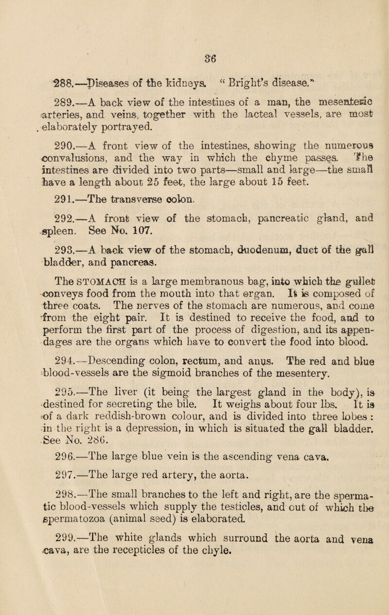 ^88. —Diseases of the kidneys. c< Bright’s disease.n 289. -—A back view of the intestines of a man, the mesenteric arteries, and veins, together with the lacteal vessels, are most . elaborately portrayed. 290. —A front view of the intestines, showing the numerous convalusions, and the way in which the chyme passes, The intestines are divided into two parts—small and large—the small have a leng*th about 25 feet, the large about 15 feet. 291. —The transverse colon. 292. -—A front view of the stomach, pancreatic gland, and spleen. See No. 107. 293. —A back view of the stomach, duodenum, duct of the gall bladder, and pancreas. The STOMACH is a large membranous bag, into which the gullet conveys food from the mouth into that organ. It is composed of three coats. The nerves of the stomach are numerous, and come 'from the eight pair. It is destined to receive the food, and to perform the first part of the process of digestion, and its appen¬ dages are the organs which have to convert the food into blood. 294. —Descending colon, rectum, and anus. The red and blue Blood-vessels are the sigmoid branches of the mesentery. 295. -—The liver (it being the largest gland in the body), is -destined for secreting the bile. It weighs about four lbs. It is <of a dark reddish-brown colour, and is divided into three lobes : in the right is a depression, in which is situated the gall bladder. • See No. 286. 296. —The large blue vein is the ascending vena cava. 297. —The large red artery, the aorta. 298. —The small branches to the left and right, are the sperma¬ tic blood-vessels which supply the testicles, and out of which the spermatozoa (animal seed) is elaborated. 299. —The white glands which surround the aorta and vena cava, are the recepticles of the chyle.