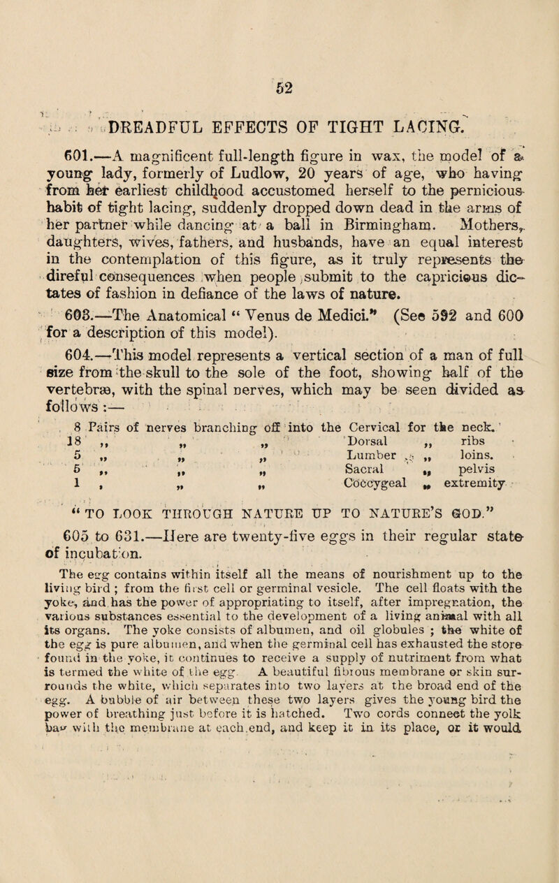 •» > • . — - DREADFUL EFFECTS OF TIGHT LACING. 601.—A magnificent full-length figure in wax, the mode! of a* young lady, formerly of Ludlow, 20 years of age, who having from her earliest childhood accustomed herself to the pernicious habit of tight lacing, suddenly dropped down dead in the arms of her partner while dancing at a ball in Birmingham. Mothers,, daughters, wives, fathers, and husbands, have an equal interest in the contemplation of this figure, as it truly represents the direful consequences when people .submit to the capricious dic¬ tates of fashion in defiance of the laws of nature. 603. —The Anatomical “ Venus de Medici.* (See 592 and 600 for a description of this model). 604. —This model represents a vertical section of a man of full size from :the skull to the sole of the foot, showing half of the vertebras, with the spinal nerves, which may be seen divided as follows:— 8 Pairs of nerves branching o2 into the Cervical for tke neck. 18 „ 5 „ 5 „ 1 , Dorsal 99 ribs Lumber ft loins. Sacral •1 pelvis Coccygeal H extremity “ TO LOOK THROUGH NATURE UP TO NATURE’S GOD.” ' ' *) ' 605 to 631.—Here are twenty-five eggs in their regular state- of incubation. ' • . » • » The egg contains within itself all the means of nourishment up to the living bird ; from the first cell or germinal vesicle. The cell floats with the yoke, and has the power of appropriating to itself, after impregnation, the various substances essential to the development of a living ania&al with all its organs. The yoke consists of albumen, and oil globules ; the white of the egg is pure albumen, and when the germinal cell has exhausted the store found in the yoke, it continues to receive a supply of nutriment from what is termed the white of the egg. A beautiful fibrous membrane or skin sur¬ rounds the white, which separates into two layers at the broad end of the egg. A bubble of air between these two layers gives the young bird the power of breathing just before it is hatched. Two cords connect the yolk with the membrane at each.end, and keep it in its place, or it would