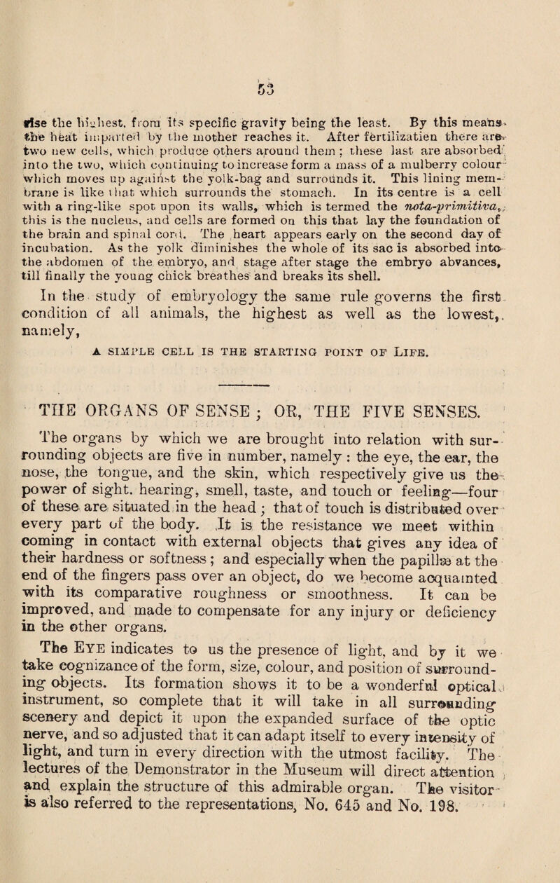 trfse the lnuhest. from its specific gravity being the least. By this means- t.be heat imparted by the mother reaches it. After fertilization there are- two new cells, which produce others around them ; these last are absorbed' into the two, which continuing to increase form a mass of a mulberry colour- which moves up against the yolk-bag and surrounds it. This lining mem¬ brane is like that which surrounds the stomach. In its centre is a cell with a ring-like spot upon its walls, which is termed the nota-primitiva,„• this is the nucleus, aud cells are formed on this that lay the foundation of the brain and spinal cord. The heart appears early on the second day of incubation. As the yolk diminishes the whole of its sac is absorbed into the abdomen of the embryo, and stage after stage the embryo abvances, till finally the young chick breathes and breaks its shell. In the study of embryology the same rule governs the first condition of ali animals, the highest as well as the lowest,, namely, A SIMPLE CERL IS THE STARTING POINT OF LIFE. THE ORGANS OF SENSE ; OR, THE FIVE SENSES. The organs by which we are brought into relation with sur¬ rounding objects are five in number, namely : the eye, the ear, the nose, the tongue, and the skin, which respectively give us the power of sight, hearing, smell, taste, and touch or feeling—four of these are situated in the head; that of touch is distributed over every part of the body. ,It is the resistance we meet within coming in contact with external objects that gives any idea of their hardness or softness; and especially when the papillae at the end of the fingers pass over an object, do we become acquainted with its comparative roughness or smoothness. It can be improved, and made to compensate for any injury or deficiency in the other organs. The Eye indicates to ns the presence of light, and by it we teike cognizance of the form, size, colour, and position of surround¬ ing objects. Its formation shows it to be a wonderful optical j instrument, so complete that it will take in all surrounding scenery and depict it upon the expanded surface of the optic nerve, and so adjusted that it can adapt itself to every intensity of light, and turn in every direction with the utmost facility. The lectures of the Demonstrator in the Museum will direct attention , and explain the structure of this admirable organ. The visitor Is also referred to the representations. No. 645 and No. 198.