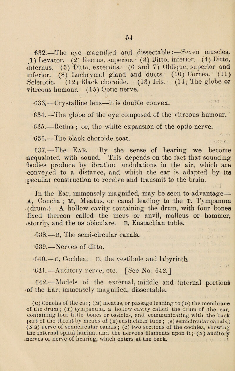 •632.—The eye magnified and dissectable :—Seven muscles. 1) Levator. (2) Kectus. superior. (3) Ditto, inferior. (4) Ditto, in tern us. (5) Ditto, extenius.' (6 and 7) Oblique, superior and •inferior. (8) Lachrymal gdand and ducts. (10) Cornea. (11) Sclerotic. (12) black choroide. (13) Iris. (14; The globe or 'vitreous humour. (15) Optic nerve. •G33.—Crystalline lens—it is double convex. •634.—The globe of the eye composed of the vitreous humour. *635.— he tin a ; or, the white expansion of the optic nerve. f636.—The black choroide coat. G37.—The Ear. By the sense of hearing we become ^acquainted with sound. This depends on the fact that souuding ^bodies produce by ibration- undulations in the air, which are conveyed to a distance, and which the ear is adapted by its ^peculiar construction to receive and transmit to the brain. In the Ear, immensely magnified, may be seen to advantage— A, Concha ; M, Meatus, or canal leading to the T. Tympanum >(drum.) A hollow cavity containing the drum, with four bones ifixed thereon called the incus or anvil, malleus or hammer, -.storrip, and the os obiculare. E, Eustachian tuble. 4)38.—B, The semi-circular canals. G39.—Nerves of ditto. 4)40.—C, Cochlea. D, the vestibule and labyrinth. 1 • * * 641. —Auditory nerve, etc. [See No. 642.] 642. —Models of the external, middle and internal portions • of the Ear, immensely magnified, dissectable. (c) Concha of the ear ; (m) meatus, or passage leading to (d) the membrane of the drum; (t) tympanum, a hollow cavity called the drum of the ear, containing four little bones or ossicles, and communicating with the back part of the throat by means of (e) eustachian tube ; (s) semicircular canalsj; (N s) nerve of semicircular canals ; (c) two sections of the cochlea, showing the internal spiral lamina, and the nervous filaments upon it; (N) auditory .nerves or nerve of hearing, which enters at the back. !