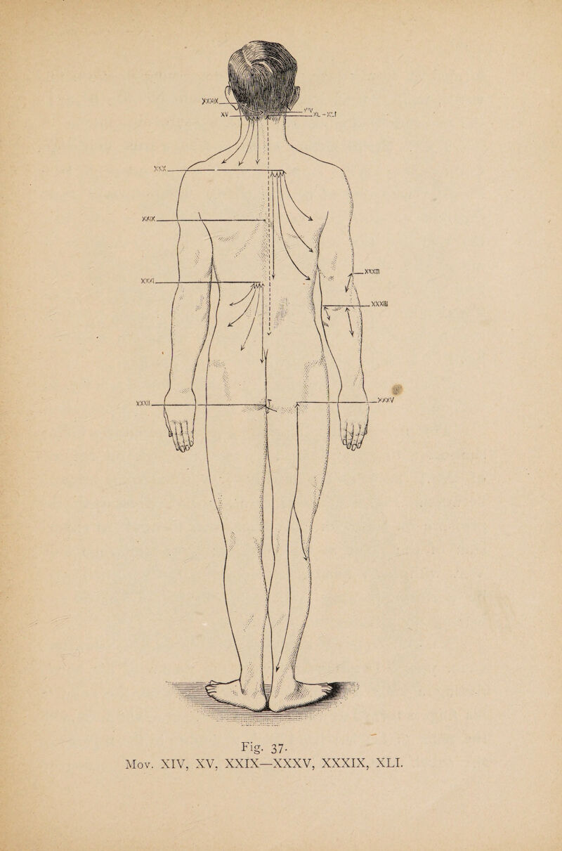 Fig. 37-