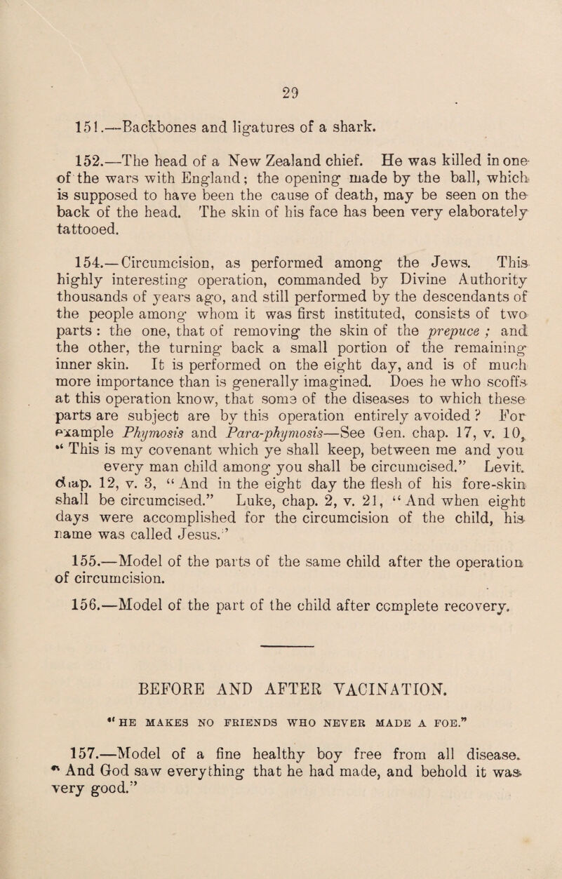 151. —Backbones and ligatures of a shark. 152. —The head of a New Zealand chief. He was killed in one- of the wars with England; the opening made by the ball, which is supposed to have been the cause of death, may be seen on the back of the head. The skin of his face has been very elaborately tattooed. 154. — Circumcision, as performed among the Jews. This highly interesting operation, commanded by Divine Authority thousands of years ago, and still performed by the descendants of the people among' whom it was first instituted, consists of two parts : the one, that of removing the skin of the prepuce ; and the other, the turning back a small portion of the remaining inner skin. It is performed on the eight day, and is of much more importance than is generally imagined. Does he who scoffs at this operation know, that some of the diseases to which these parts are subject are by this operation entirely avoided ? For example Phymosis and Para-phymosis—See Gen. chap. 17, v. IOj “ This is my covenant which ye shall keep, between me and you every man child among you shall be circumcised.” Levit. & tap. 12, v. 3, “And in the eight day the flesh of his fore-skin shall be circumcised.” Luke, chap. 2, v. 21, “And when eight days were accomplished for the circumcision of the child, his name was called Jesus. 155. -—Model of the parts of the same child after the operation of circumcision. 156. —Model of the part of the child after complete recovery. BEFORE AND AFTER YACINATION. “ HE MAKES NO FRIENDS WHO NEVER MADE A FOE.” 157.—Model of a fine healthy boy free from all disease. n And God saw everything that he had made, and behold it was very good.”