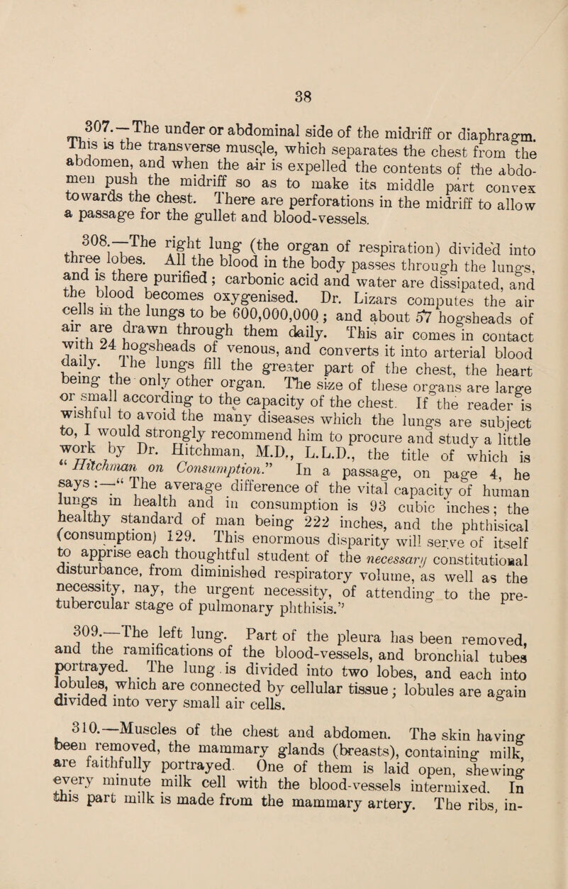 ^307‘7i.The under or abdominal side of the midriff or diaphragm, iliis is the transverse musqle, which separates the chest from the abdomen and when the air is expelled the contents of the abdo¬ men push the midriff so as to make its middle part convex towards the chest. Ihere are perforations in the midriff to allow a passage for the gullet and blood-vessels. 3°8;~The lung* organ of respiration) divided into thiee lobes. All the blood m the body passes through the lungs, 5“d S th®re Punfied ; carbonic acid and water are dissipated, and the blood becomes oxygenised. Dr. Lizars computes the air cells m the lungs to be 600,000,000 ; and about 57 hogsheads of ^T0Ugh them dai1^ This air comes in contact with 24 hogsheads of venous, and converts it into arterial blood daily. I he lungs fill the greater part of the chest, the heart emg e on y other organ. The si-ze of these organs are large or small according to the capacity of the chest. If the reader is wish!ul to avoid the many diseases which the lungs are subject to, 1 would strongly recommend him to procure and study a little work by Dr. Hitchman, M.D., L.L.D., the title of which is Ihtchman on Consumption.” In a passage, on page 4, he says .— he average difference of the vital capacity of human lungs m health and in consumption is 93 cubic inches: the healthy standard of man being 222 inches, and the phthisical (consumption) 129. This enormous disparity will serve of itself to apprise each thoughtful student of the necessarij constitutional istuibance, from diminished respiratory volume, as well as the necessity, nay, the urgent necessity, of attending to the pre- tubercular stage of pulmonary phthisis.’’ 309. The left lung. Part of the pleura has been removed, and the ramifications of the blood-vessels, and bronchial tubes portrayed > The lung is divided into two lobes, and each into lobules, which are connected by cellular tissue; lobules are again divided into very small air cells. 310.—Muscles of the chest and abdomen. The skin having been removed, the mammary glands (breasts), containing milk, are faithfully portrayed. One of them is laid open, shewing every minute milk cell with the blood-vessels intermixed. In this part milk is made from the mammary artery. The ribs, in-