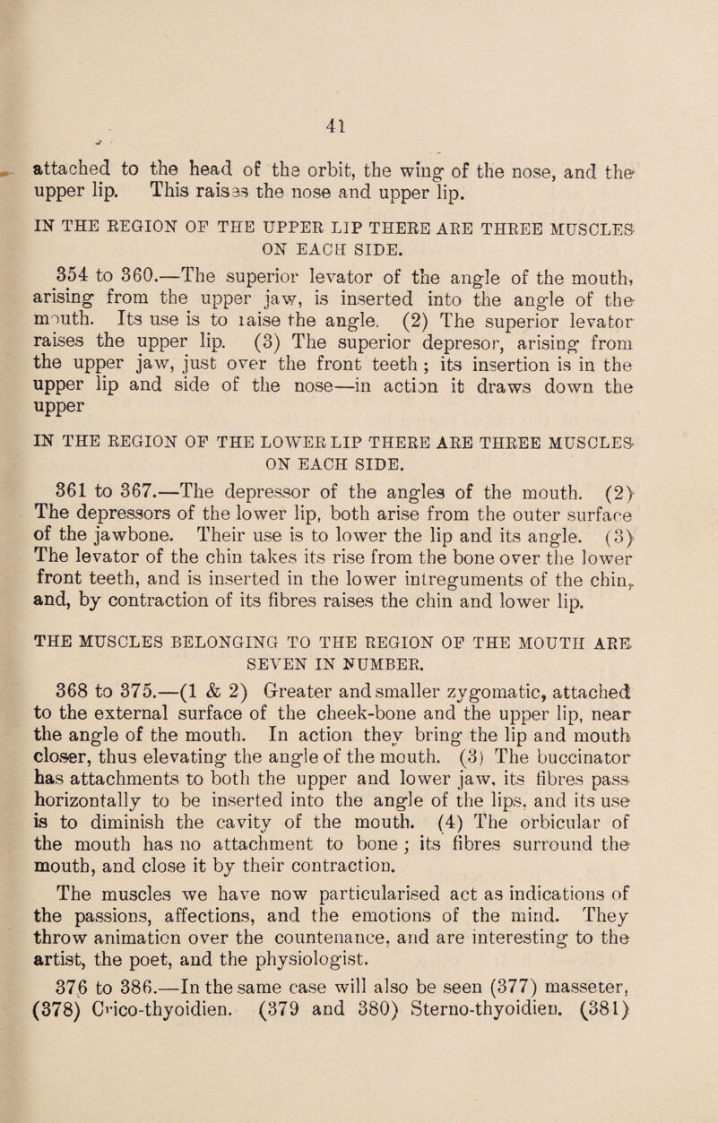 attached to the head of the orbit, the wing1 of the nose, and the upper lip. This raises the nose and upper lip. IN THE REGION OF THE UPPER LIP THERE ARE THREE MUSCLES ON EACH SIDE. 354 to 360.—The superior levator of the angle of the mouth, arising from the upper jaw, is inserted into the angle of the mouth. Its use is to laise the angle. (2) The superior levator raises the upper lip. (3) The superior depresor, arising from the upper jaw, just over the front teeth ; its insertion is in the upper lip and side of the nose—in action it draws down the upper IN THE REGION OF THE LOWER LIP THERE ARE THREE MUSCLES ON EACH SIDE. 361 to 367.—The depressor of the angles of the mouth. (2) The depressors of the lower lip, both arise from the outer surface of the jawbone. Their use is to lower the lip and its angle. (3) The levator of the chin takes its rise from the bone over the lower front teeth, and is inserted in the lower intreguments of the chin,, and, by contraction of its fibres raises the chin and lower lip. THE MUSCLES BELONGING TO THE REGION OF THE MOUTH ARE. SEVEN IN NUMBER. 368 to 375.—(1 & 2) Greater and smaller zygomatic, attached to the external surface of the cheek-bone and the upper lip, near the angle of the mouth. In action they bring the lip and mouth closer, thus elevating the angle of the mouth. (3) The buccinator has attachments to both the upper and lower jaw, its fibres pass horizontally to be inserted into the angle of the lips, and its use is to diminish the cavity of the mouth. (4) The orbicular of the mouth has no attachment to bone; its fibres surround the mouth, and close it by their contraction. The muscles we have now particularised act as indications of the passions, affections, and the emotions of the mind. They throw animation over the countenance, and are interesting to the artist, the poet, and the physiologist. 376 to 386.—In the same case will also be seen (377) masseter, (378) Oico-thyoidien. (379 and 380) Sterno-thyoidieu. (381)
